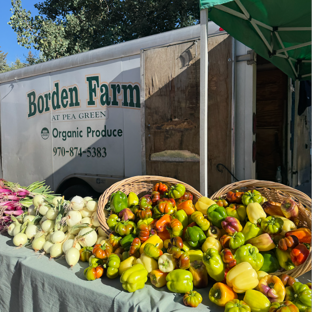 Crested Butte Farmers Market with local vendors, fresh flowers, and pastries on a sunny summer morning