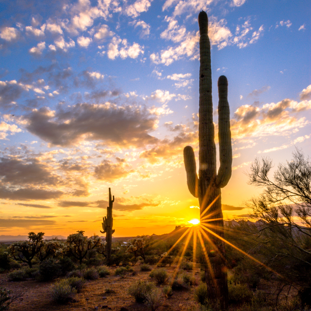 Hiking trails in the Sonoran Desert Scottsdale Arizona with saguaro cacti and mountain views