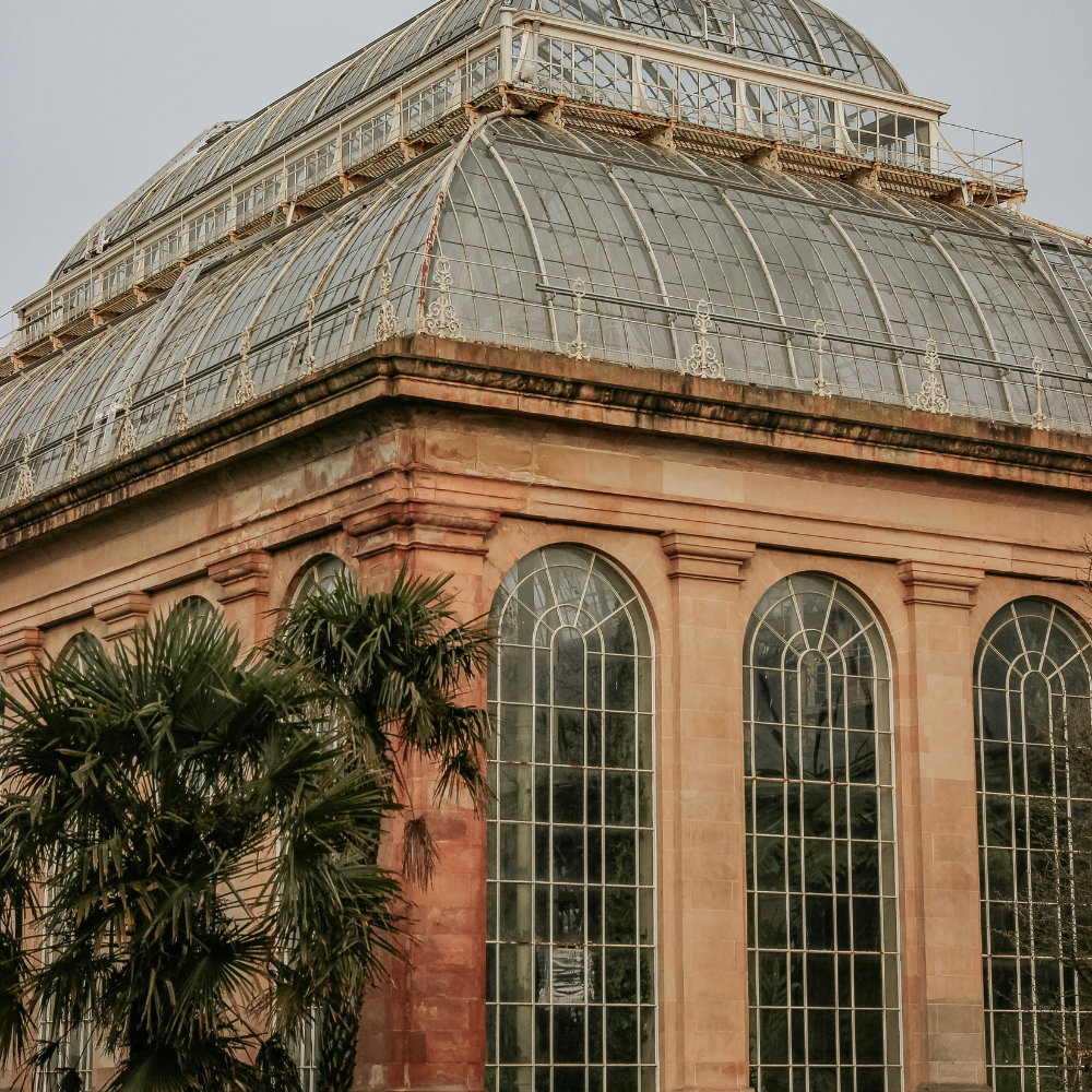 Exotic plants inside the glasshouses at the Royal Botanic Garden Edinburgh.
