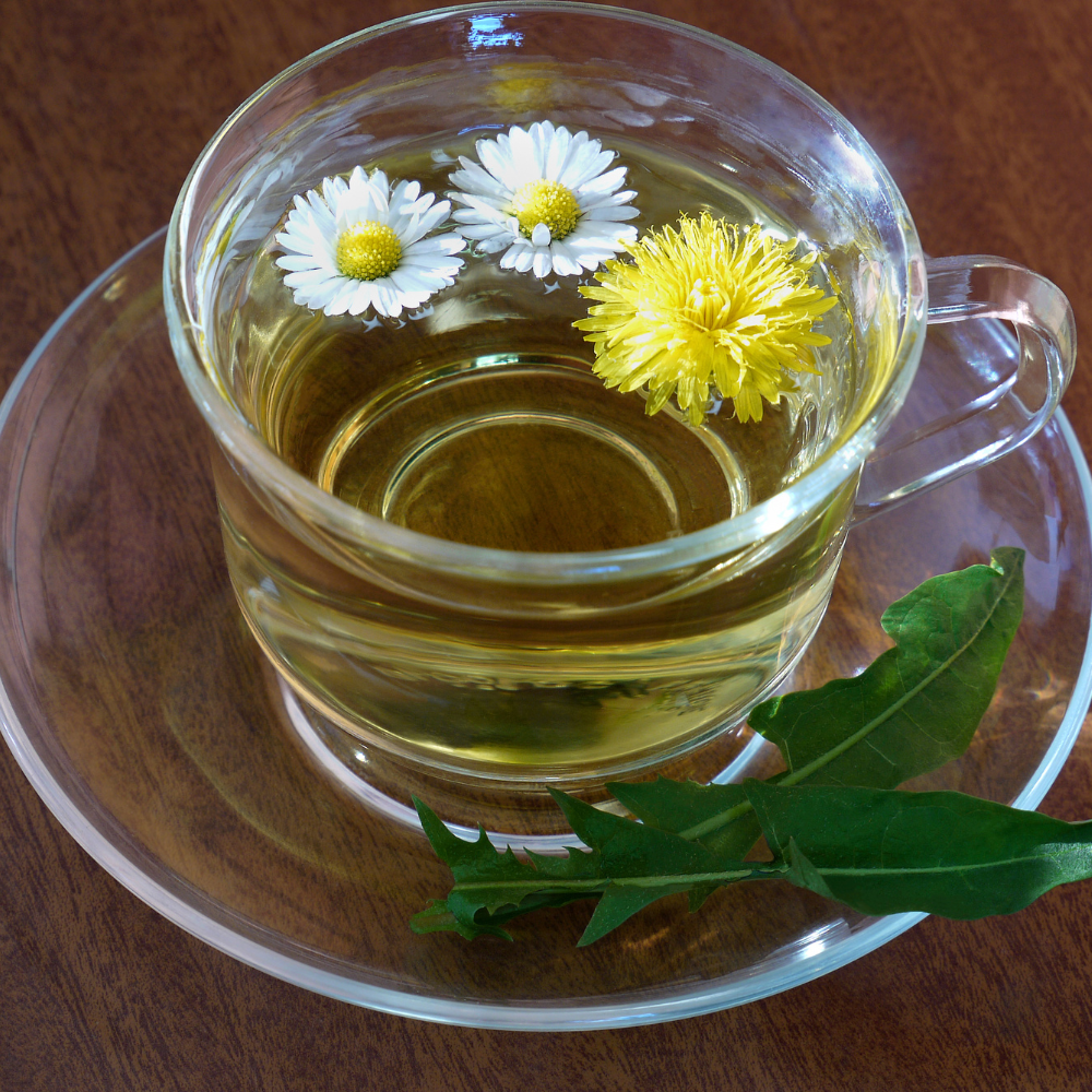 Herbal tea blend of dandelion and chamomile flowers in a cup