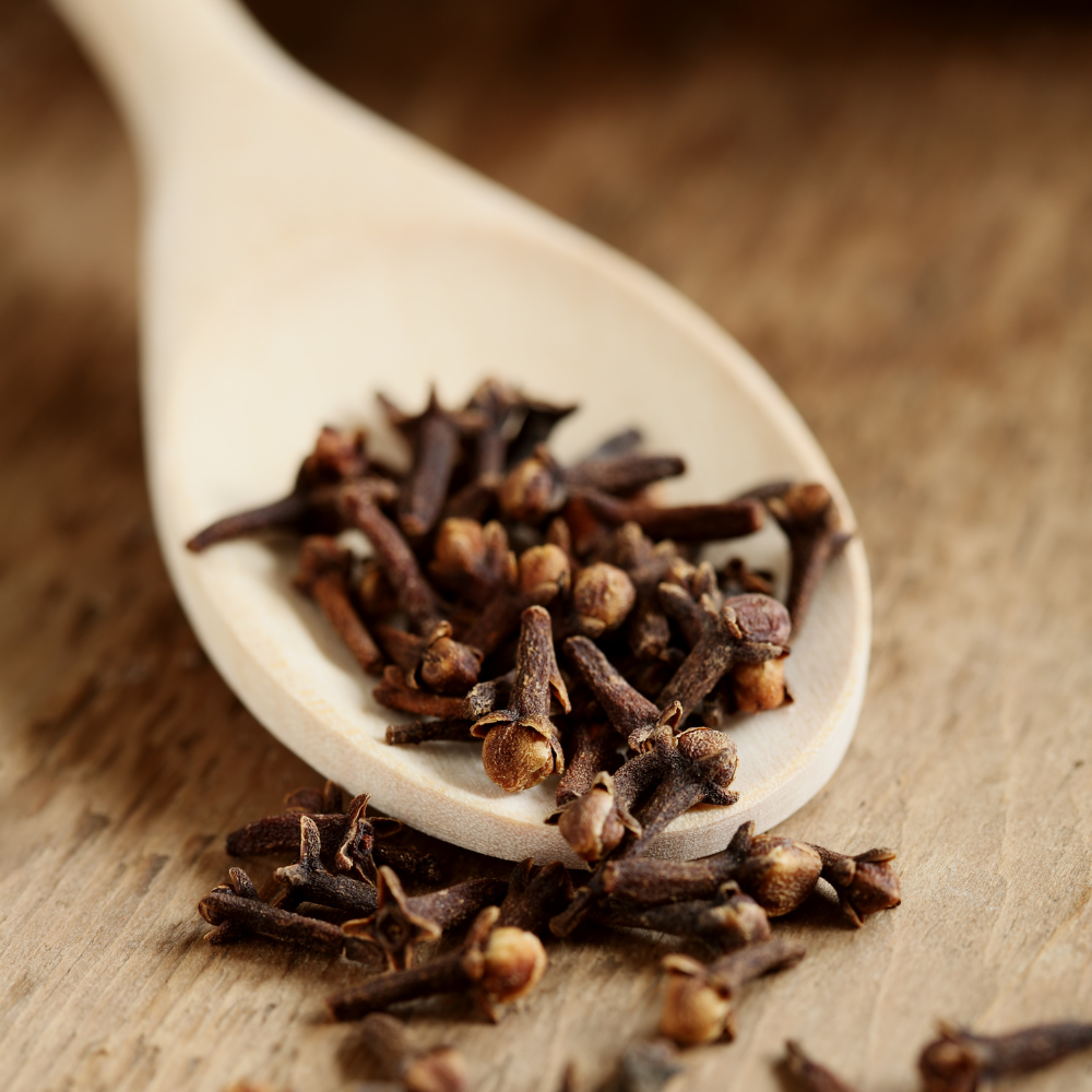 Whole cloves ready to make clove water or clove tea