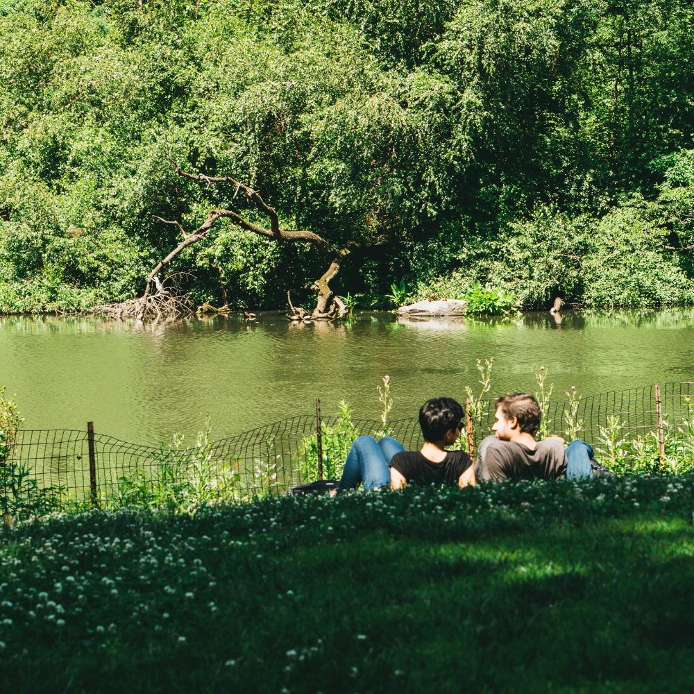Couples having a picnic