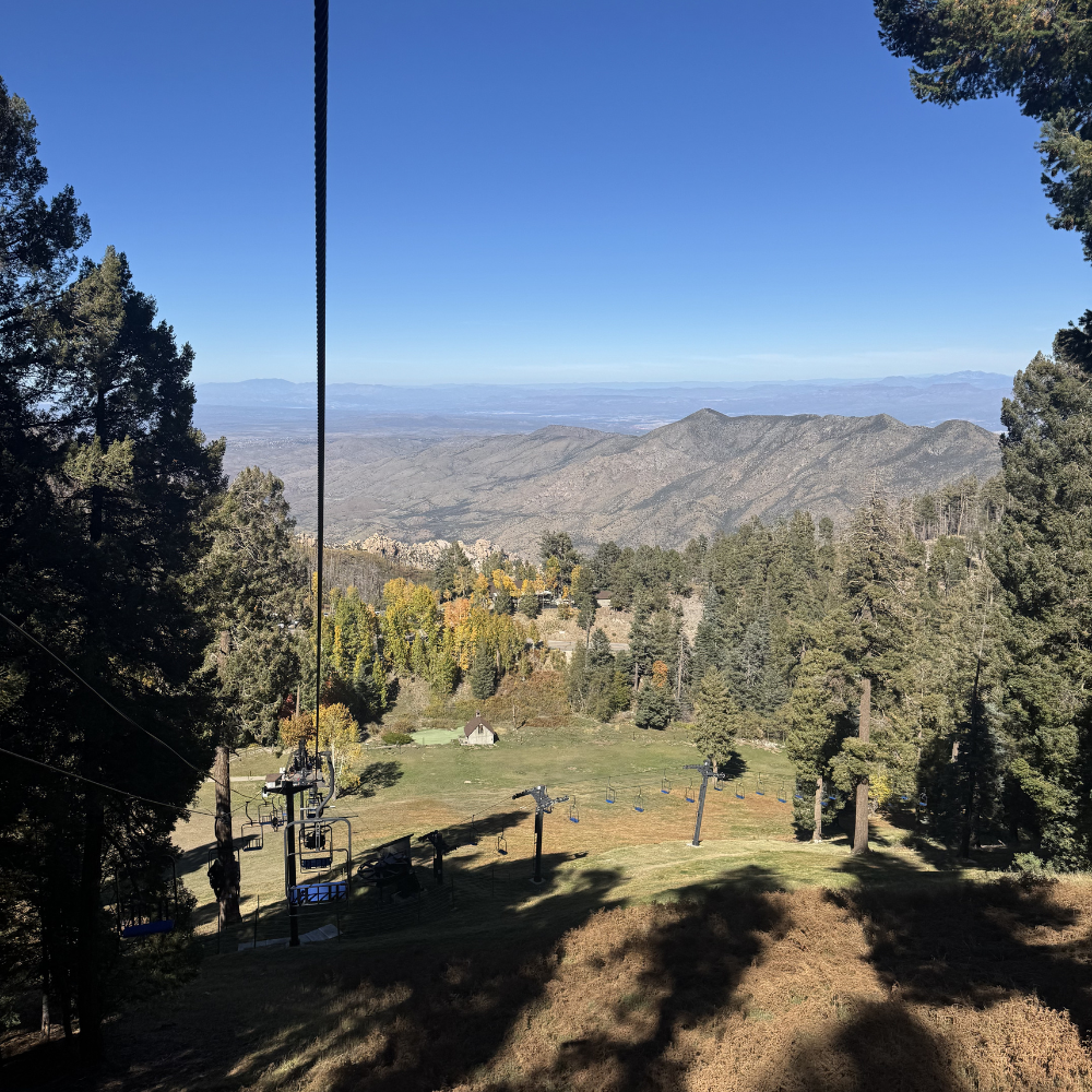Scenic view from Mount Lemmon near Summerhaven with pine trees and mountain landscape above Tucson desert.