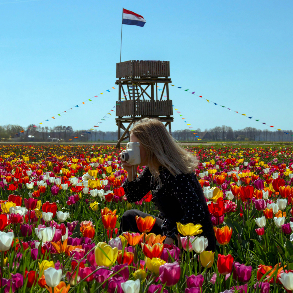 Tulip fields and canals in Amsterdam, a top March travel destination.