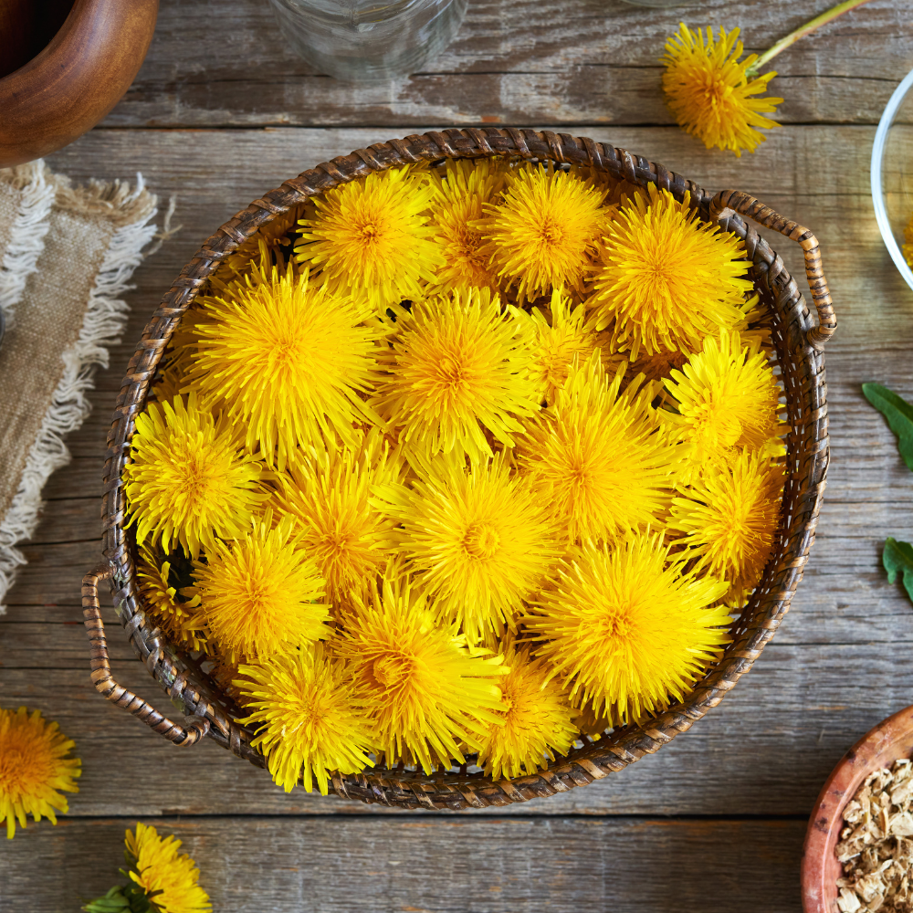 How to Make Dandelion Tea: Homemade Herbal Tea Recipe & Variations ...