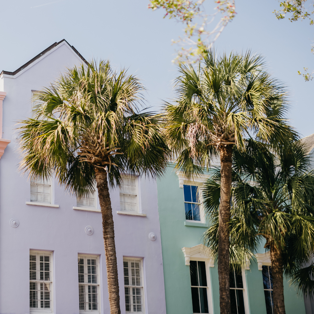 Historic pastel-colored homes and cobblestone streets in Charleston in March