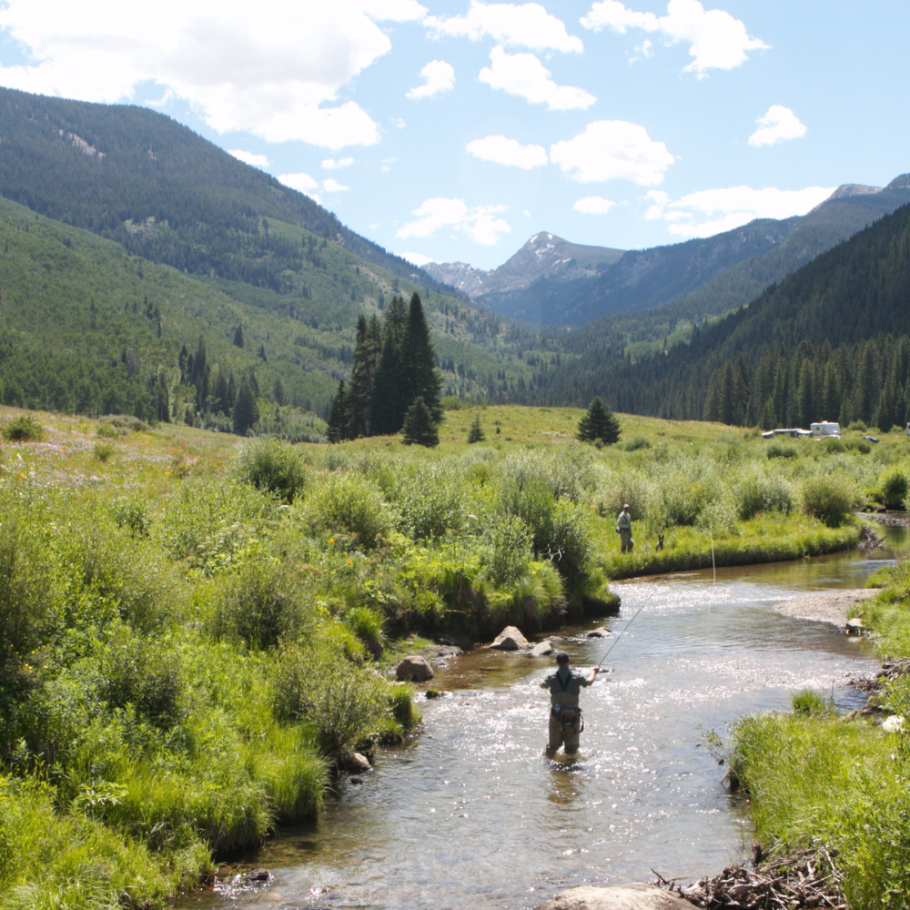Fly fishing in a clear river in Crested Butte, Colorado surrounded by mountain scenery