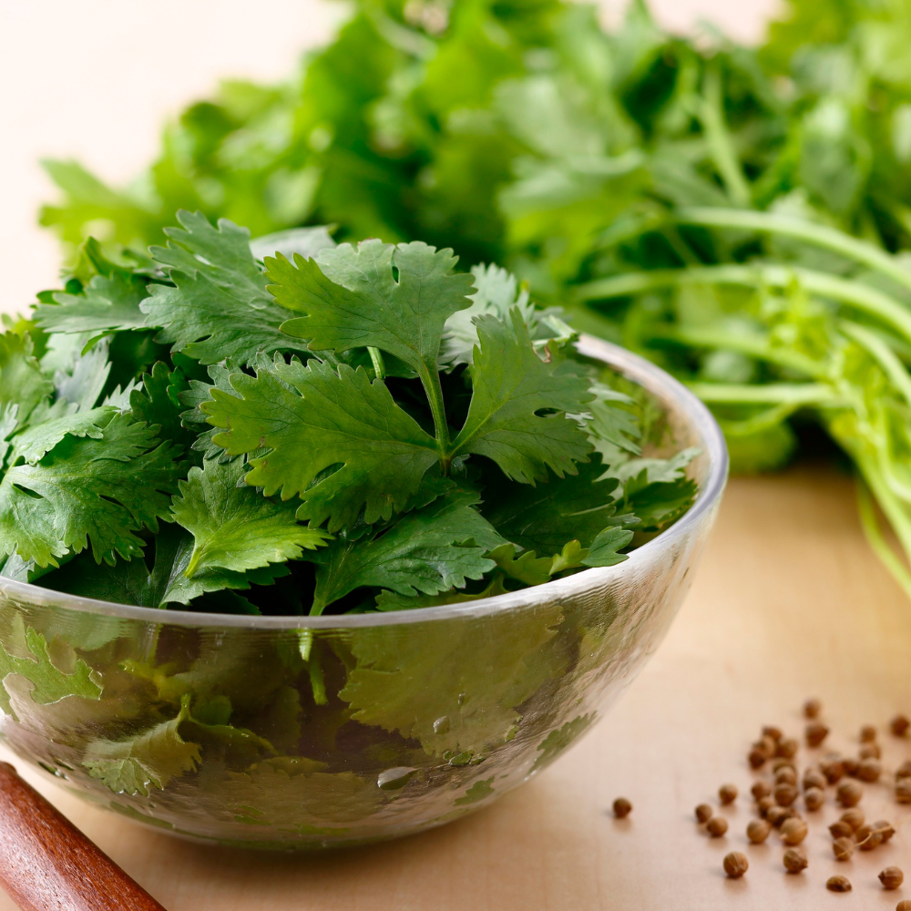 Preparing fresh cilantro by chopping leaves for a flavorful rice dish