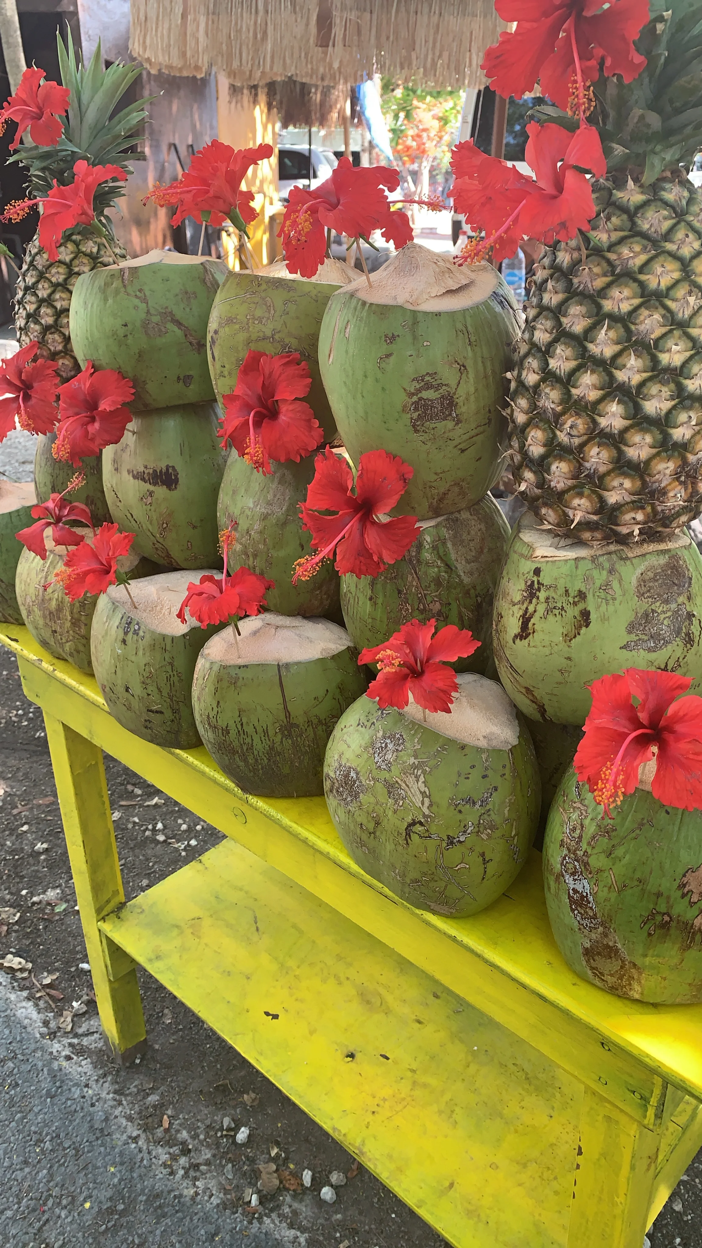 tulumcoconutwater.jpg