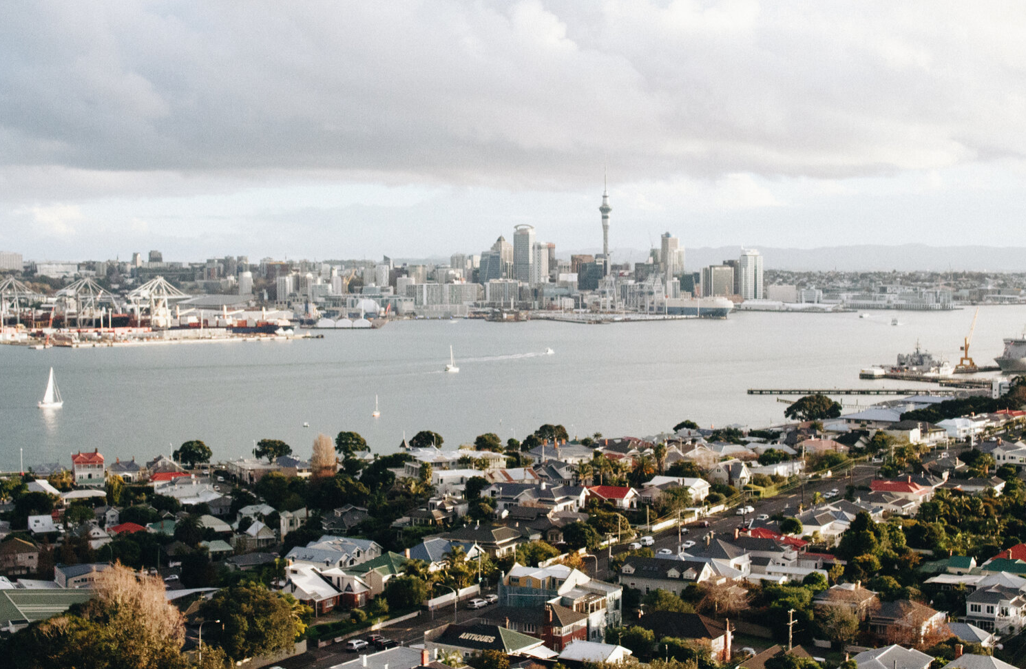 Footless Urbanite Pigeons and French Onion Soup at 8 am