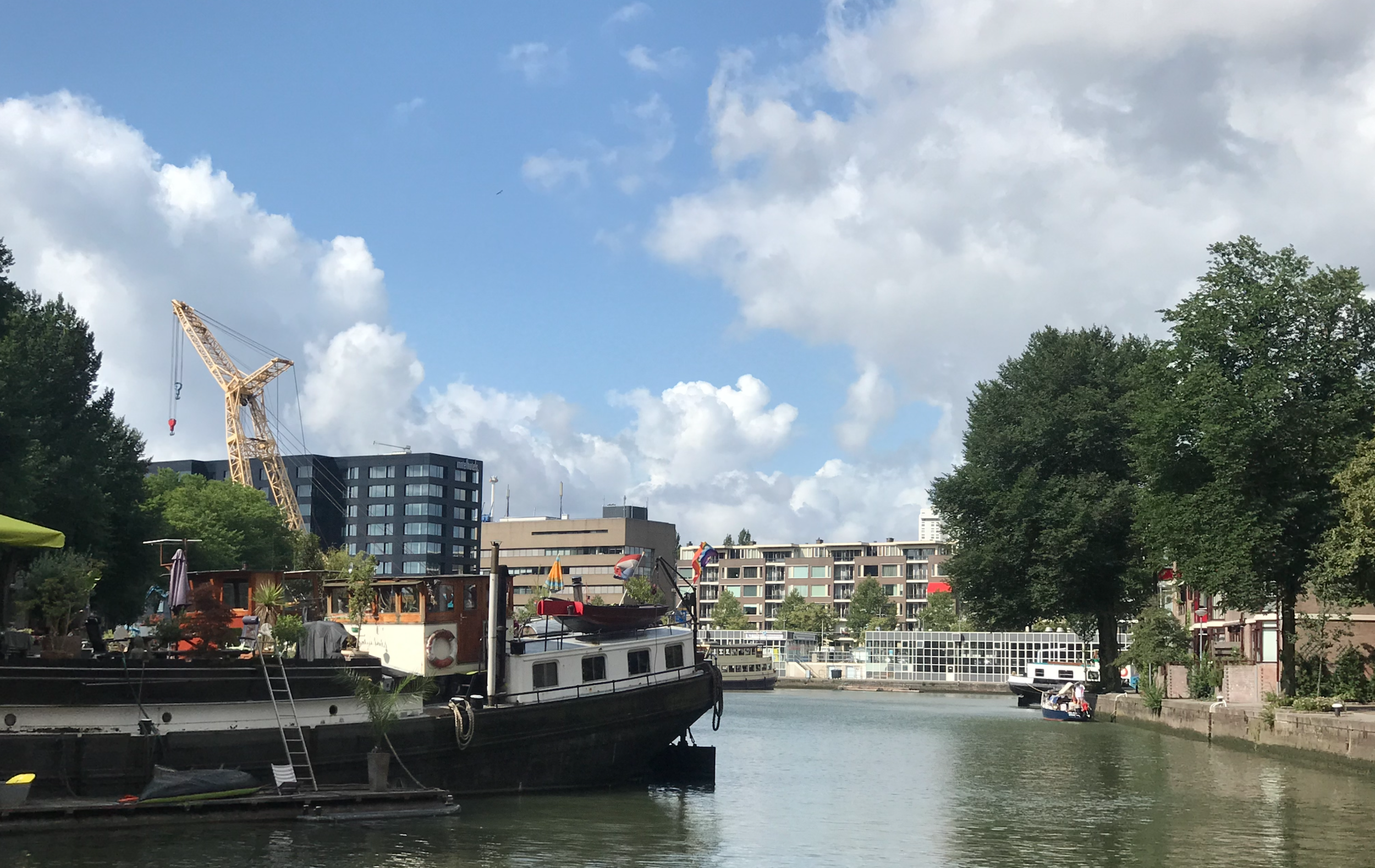 Screen Shot 2020-01-08 at 12.58.37 PM.png