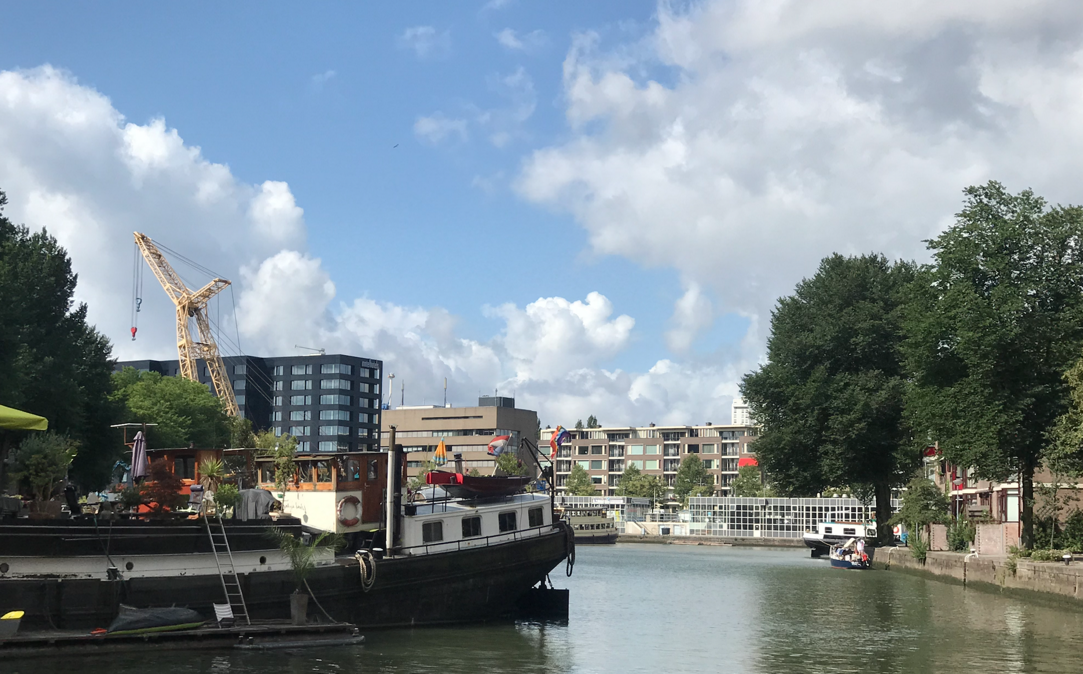 Radical in Rotterdam