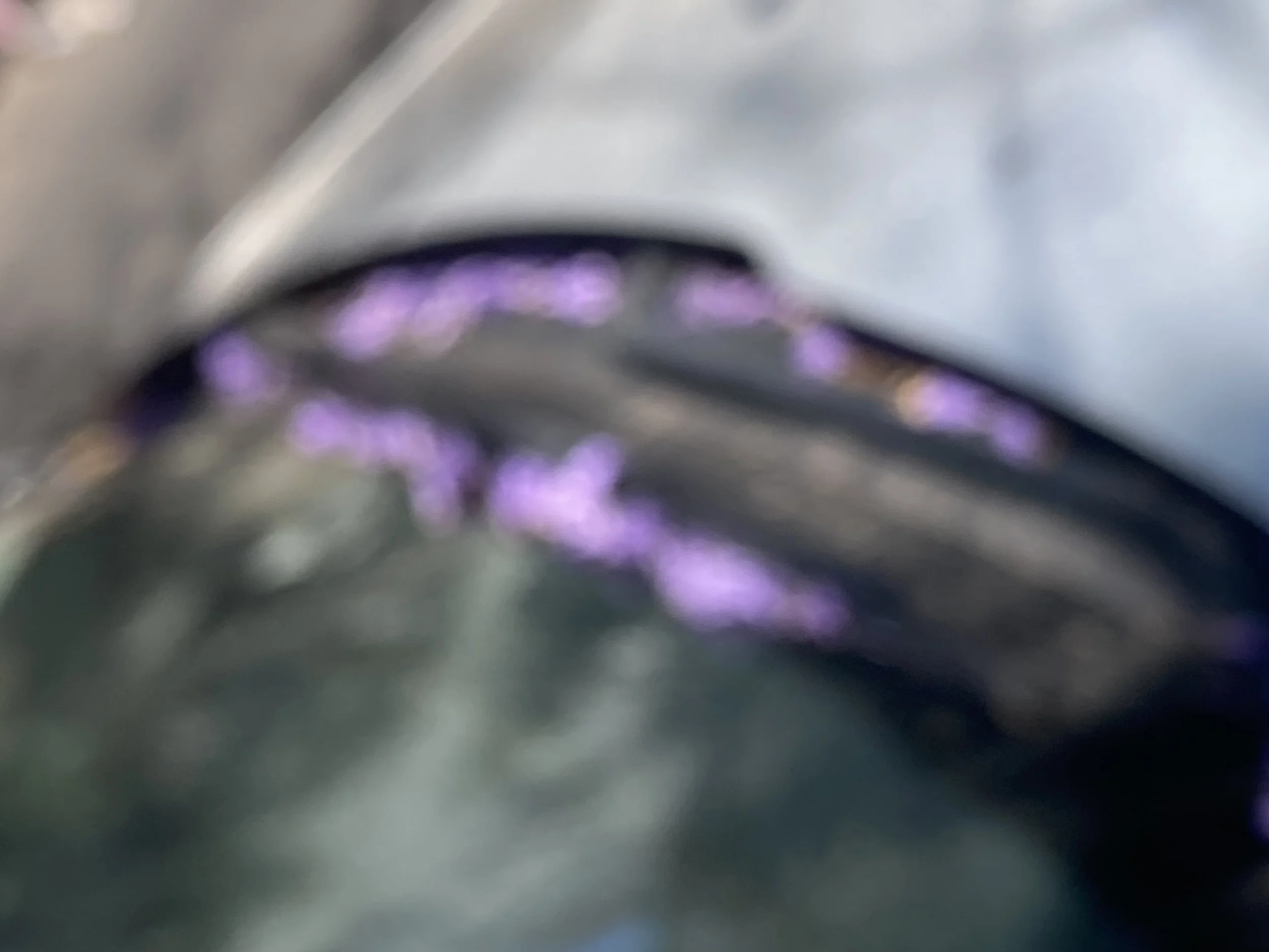 The Algorithm Bites the Hand that Feeds It