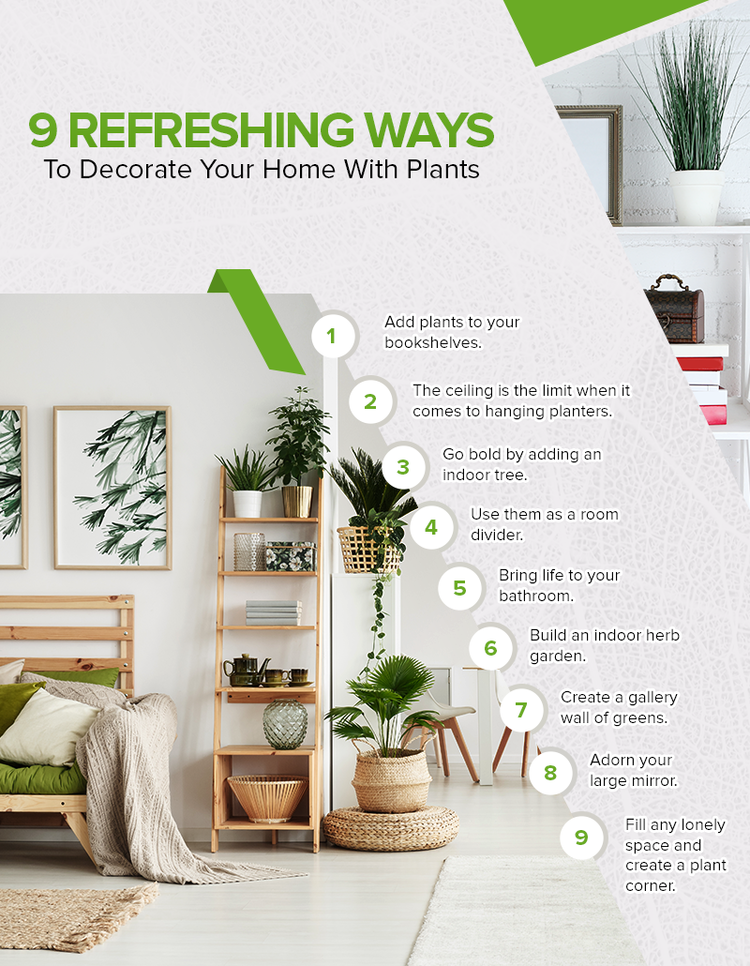 9 Refreshing Ways To Decorate Your Home With Plants