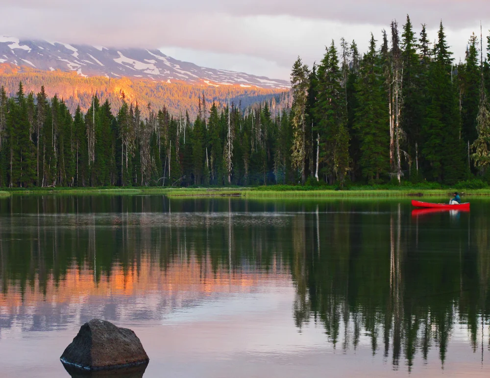 Your Real Estate Adventure Starts Here