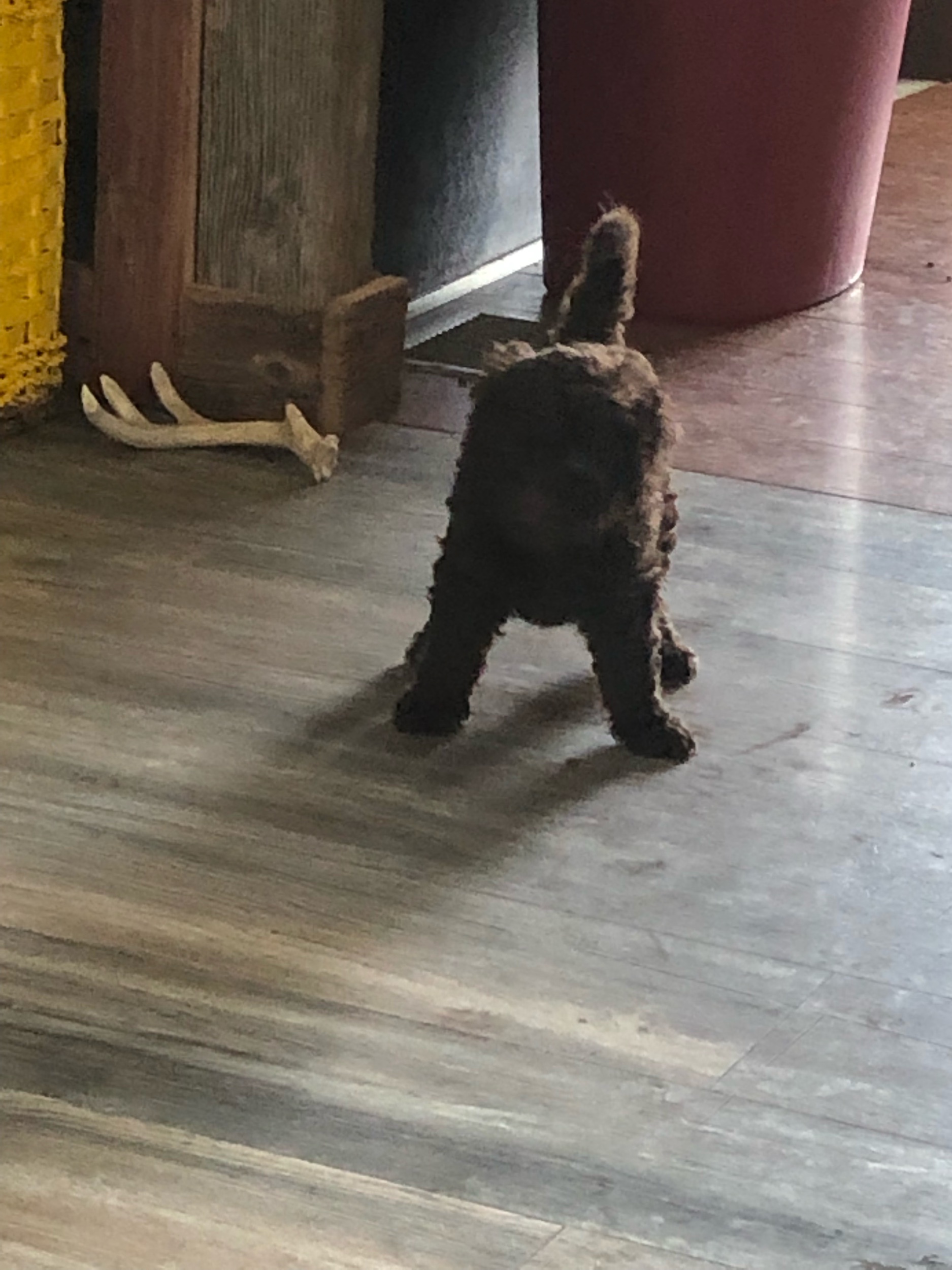 IMG_2466.jpeg