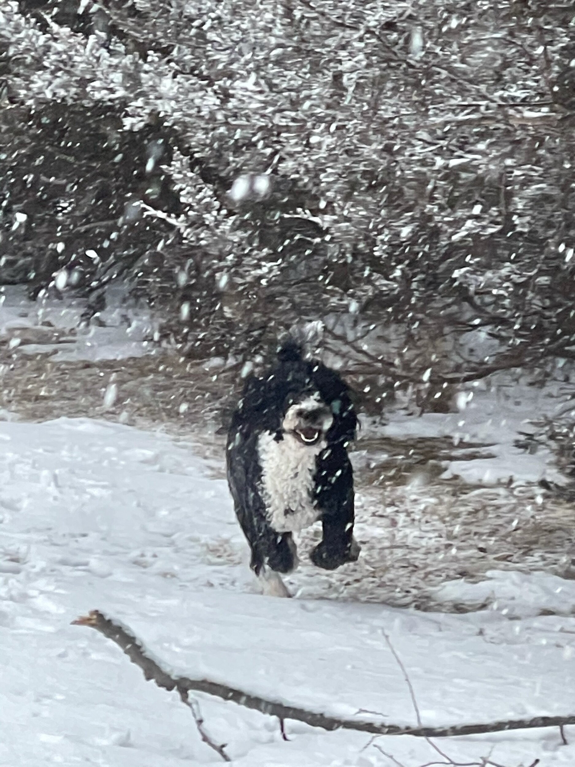 IMG_0197.jpeg