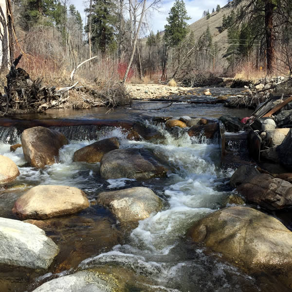 Upper Beaver Creek