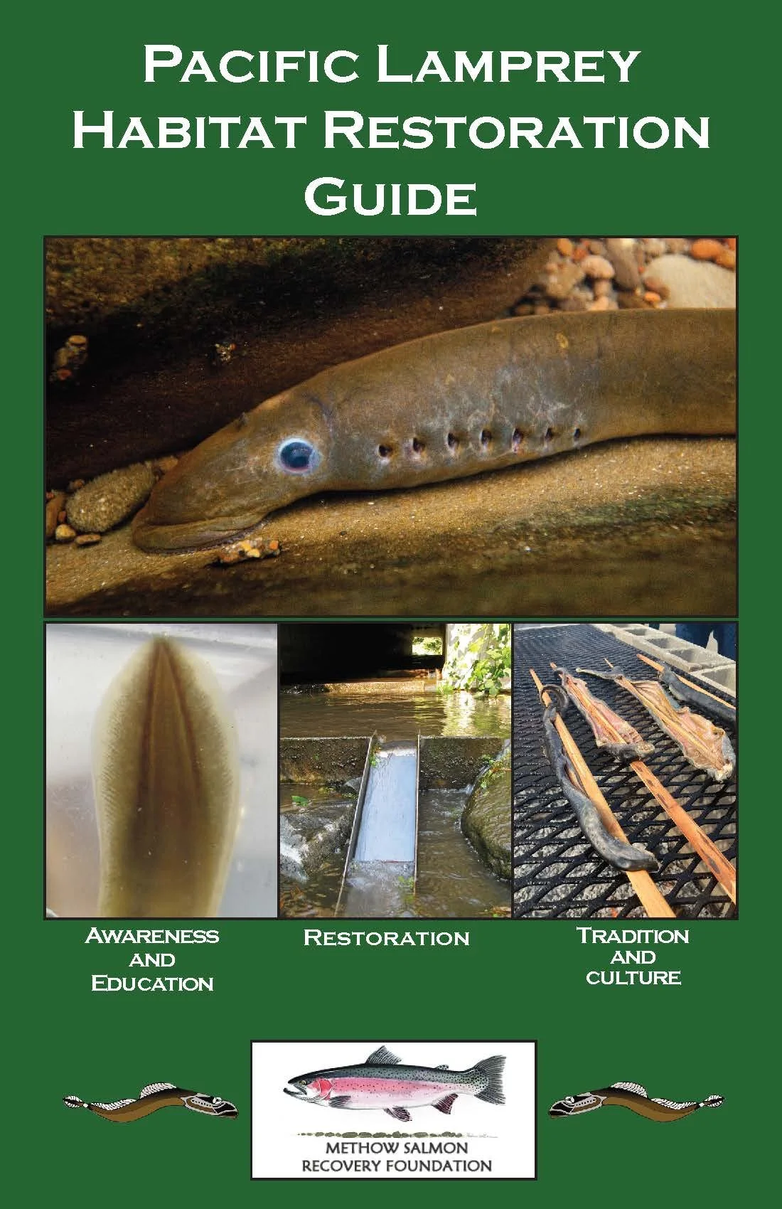 Lamprey Guide_Dec2025.jpg