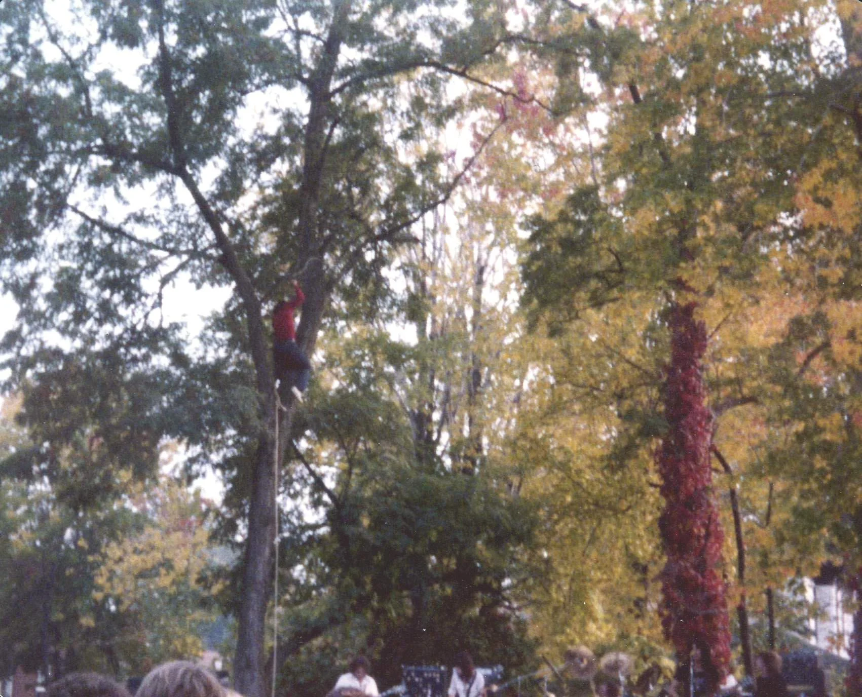 _Image0008.JPG