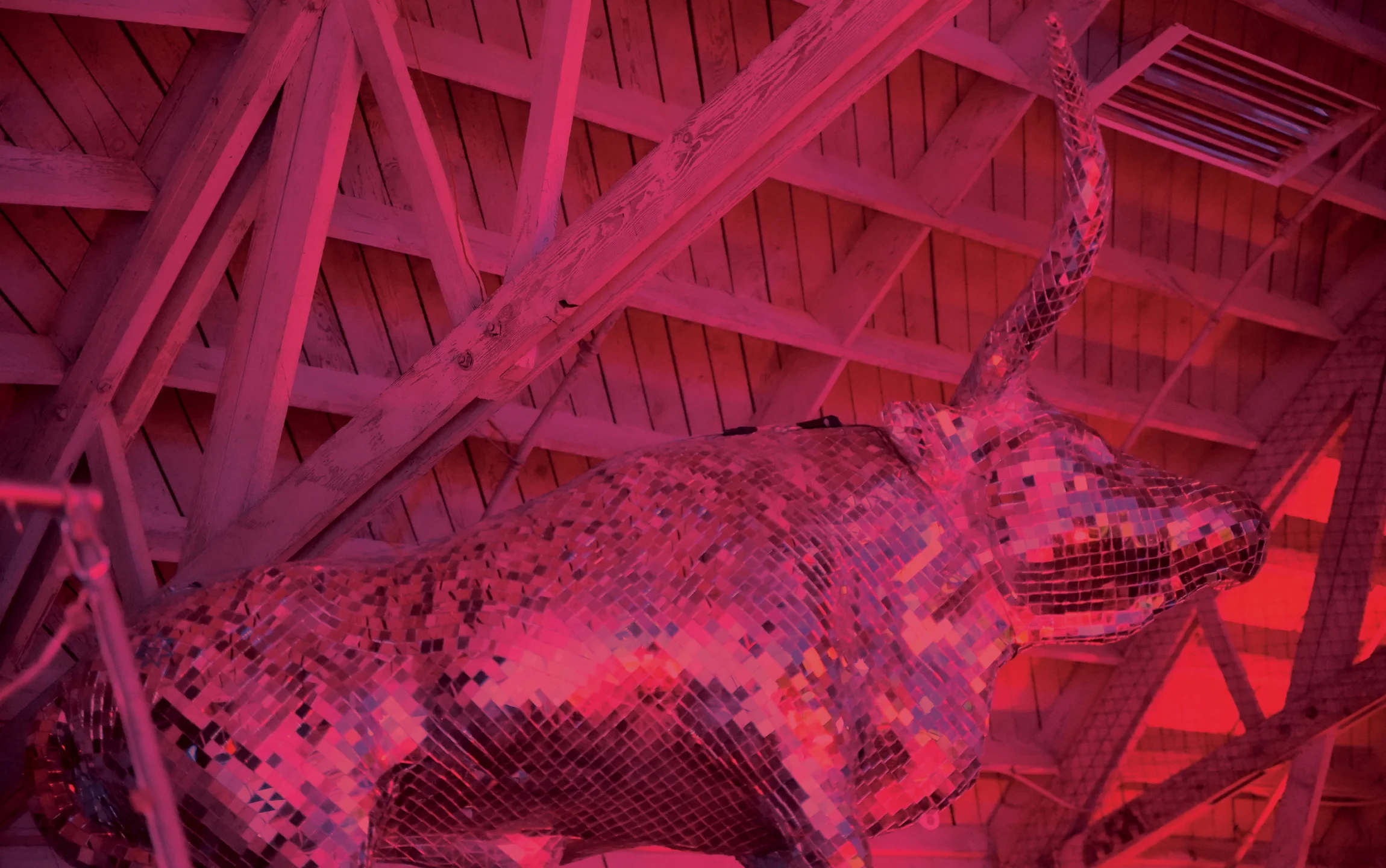 PinkBull_Home_2300x1440_W?HG_MAY19.jpg