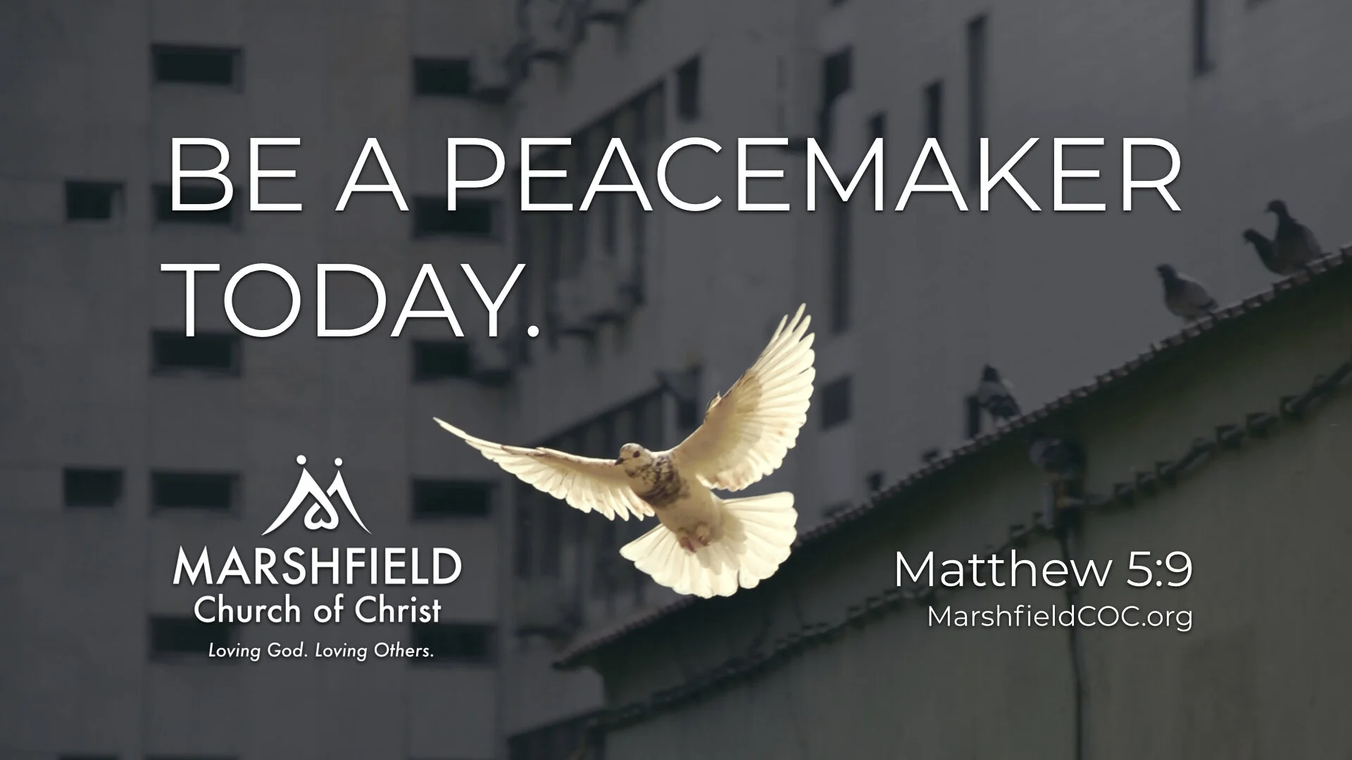 Thursday, 4/2/20 - Be A Peacemaker