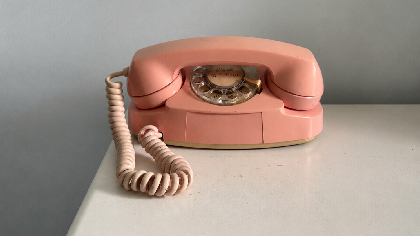 princess phone.png