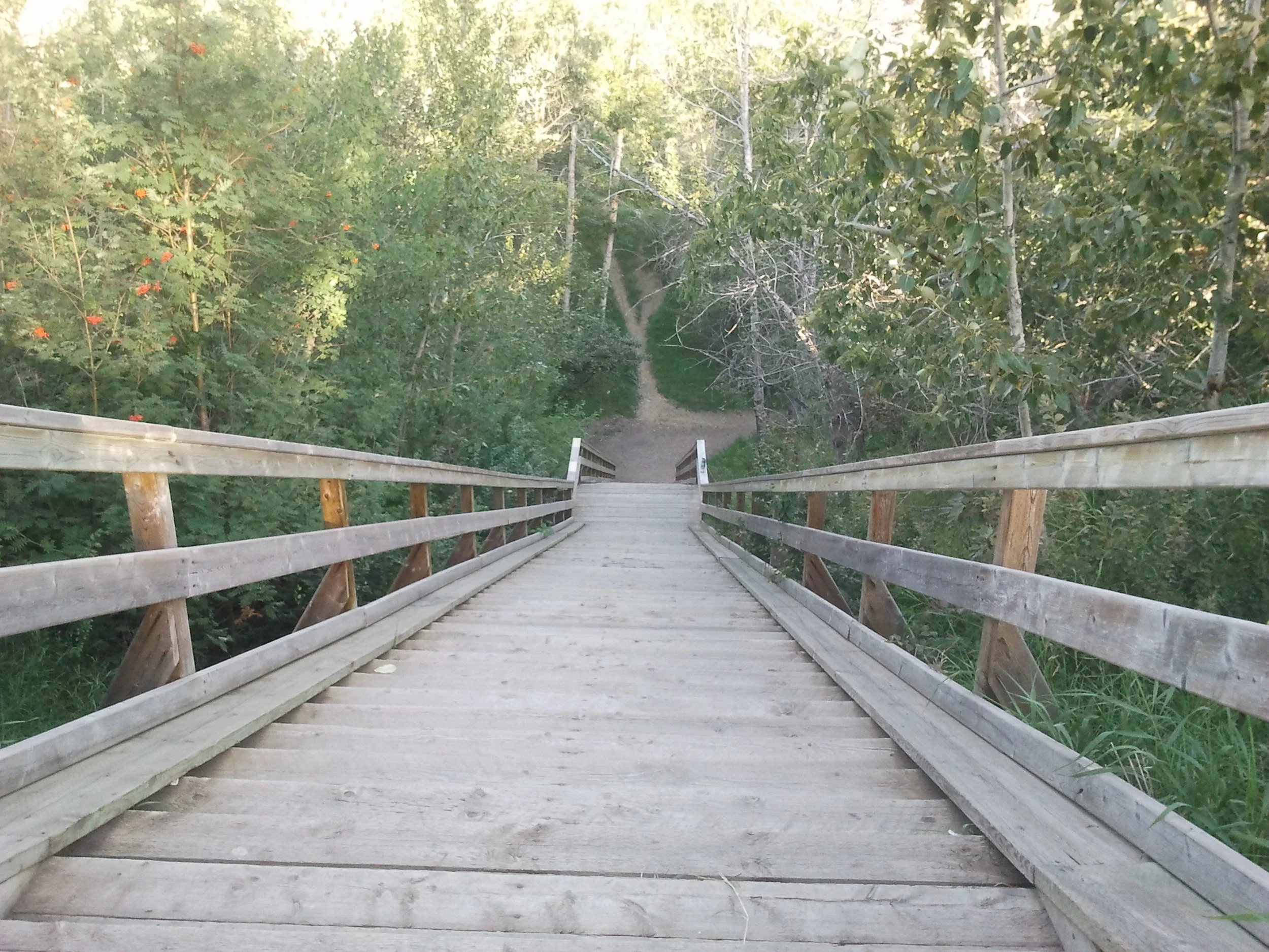 Do the next indicated thing...