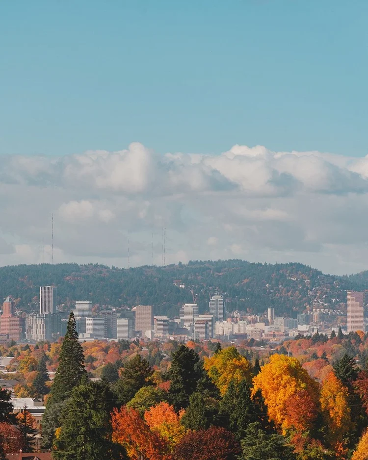 Psychological Testing and Evaluation in Portland Oregon — INC