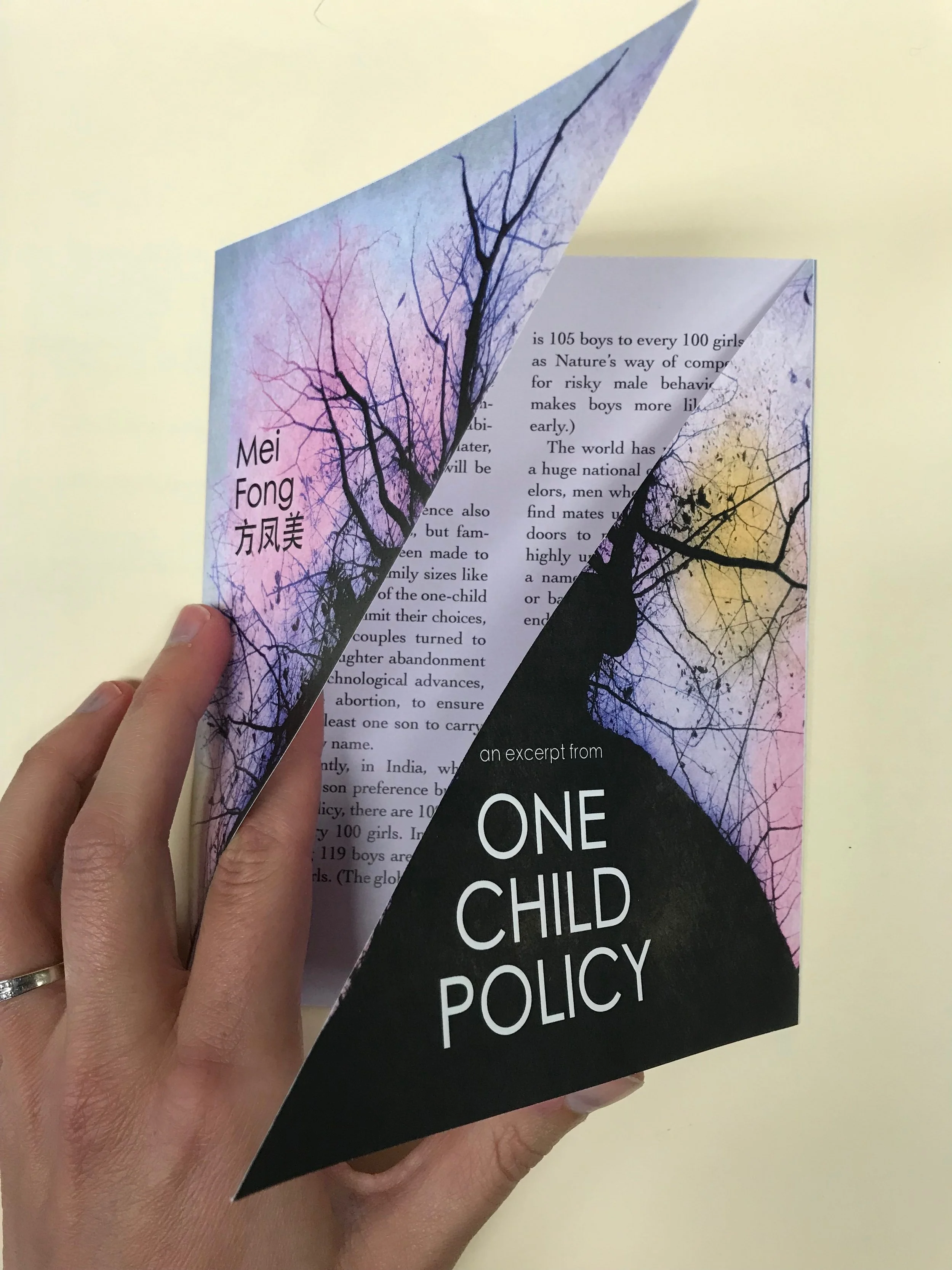 visiting writer Broadside / Fall 2017