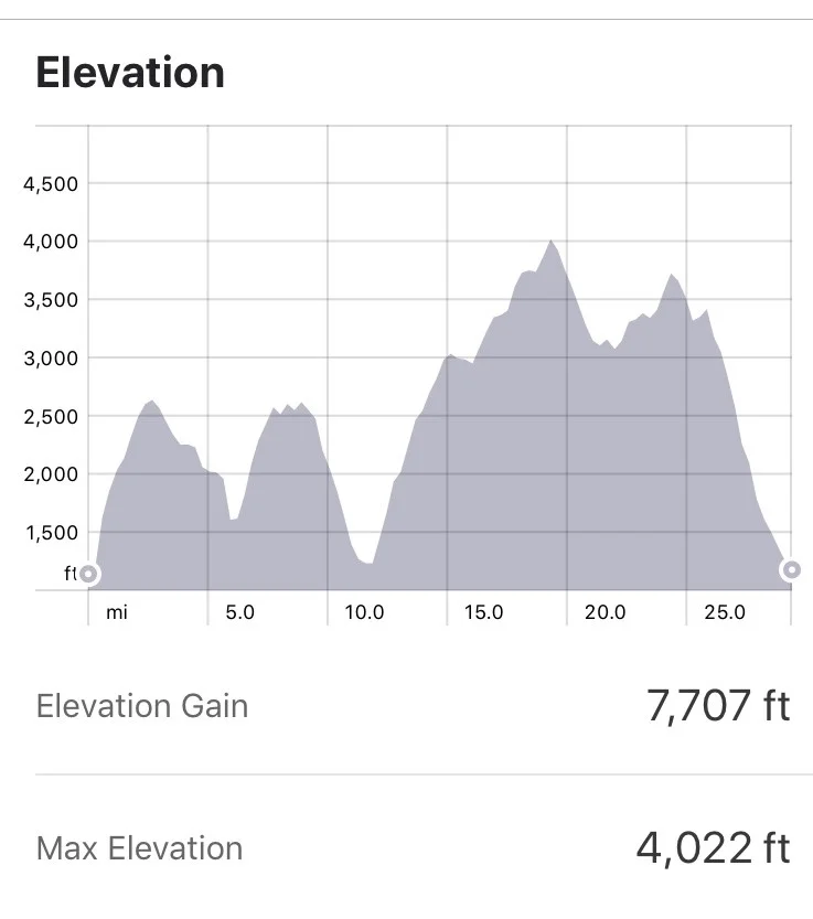UTMB / Big Mountain Race Training Tips
