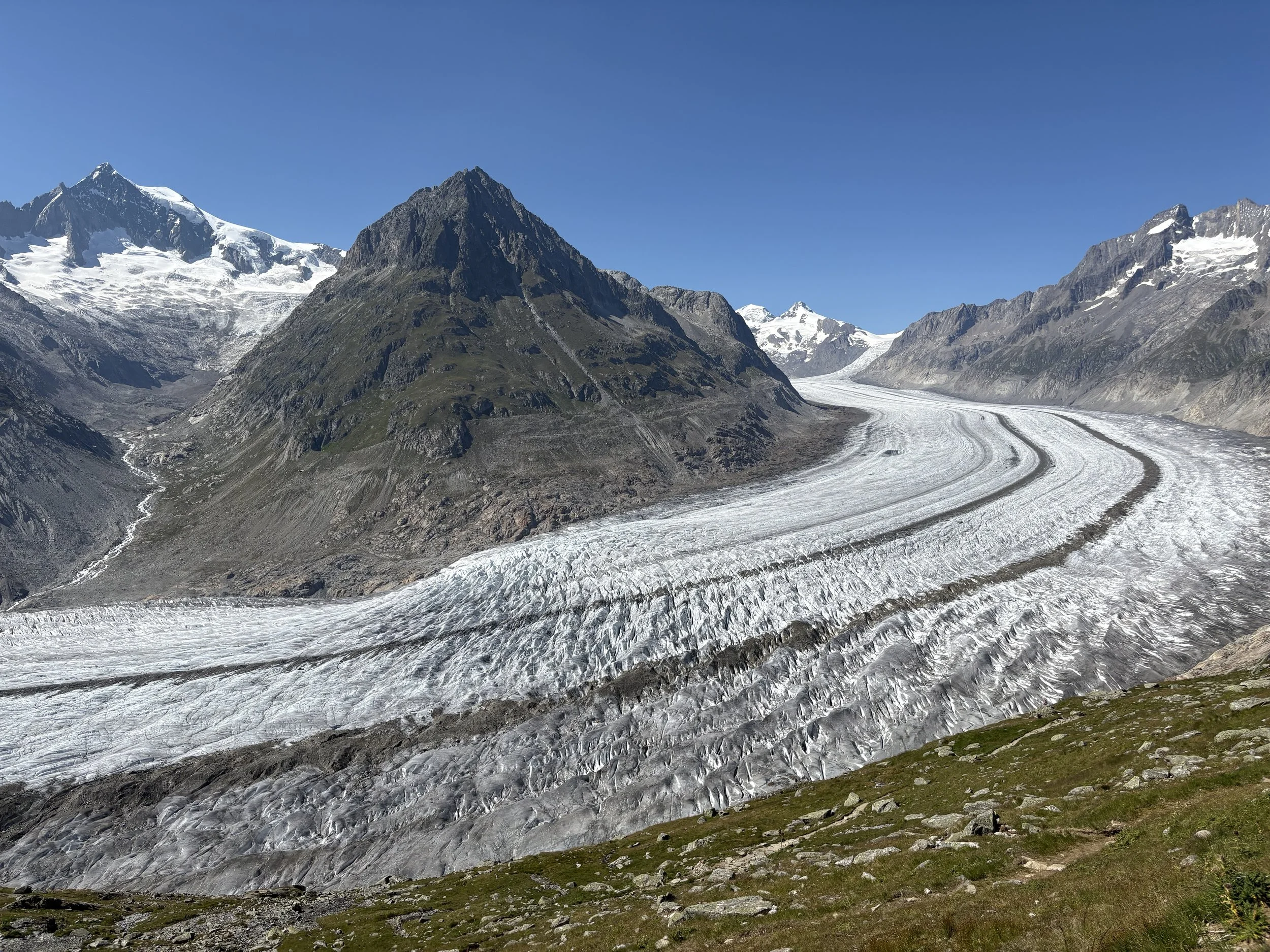 Swiss Alps 100 Race Report
