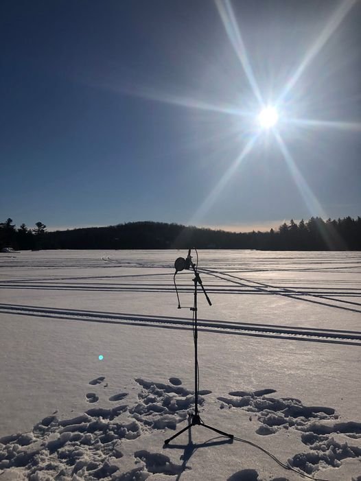 SESSION À L'AIR LIBRE #2 // PROPOSITION 