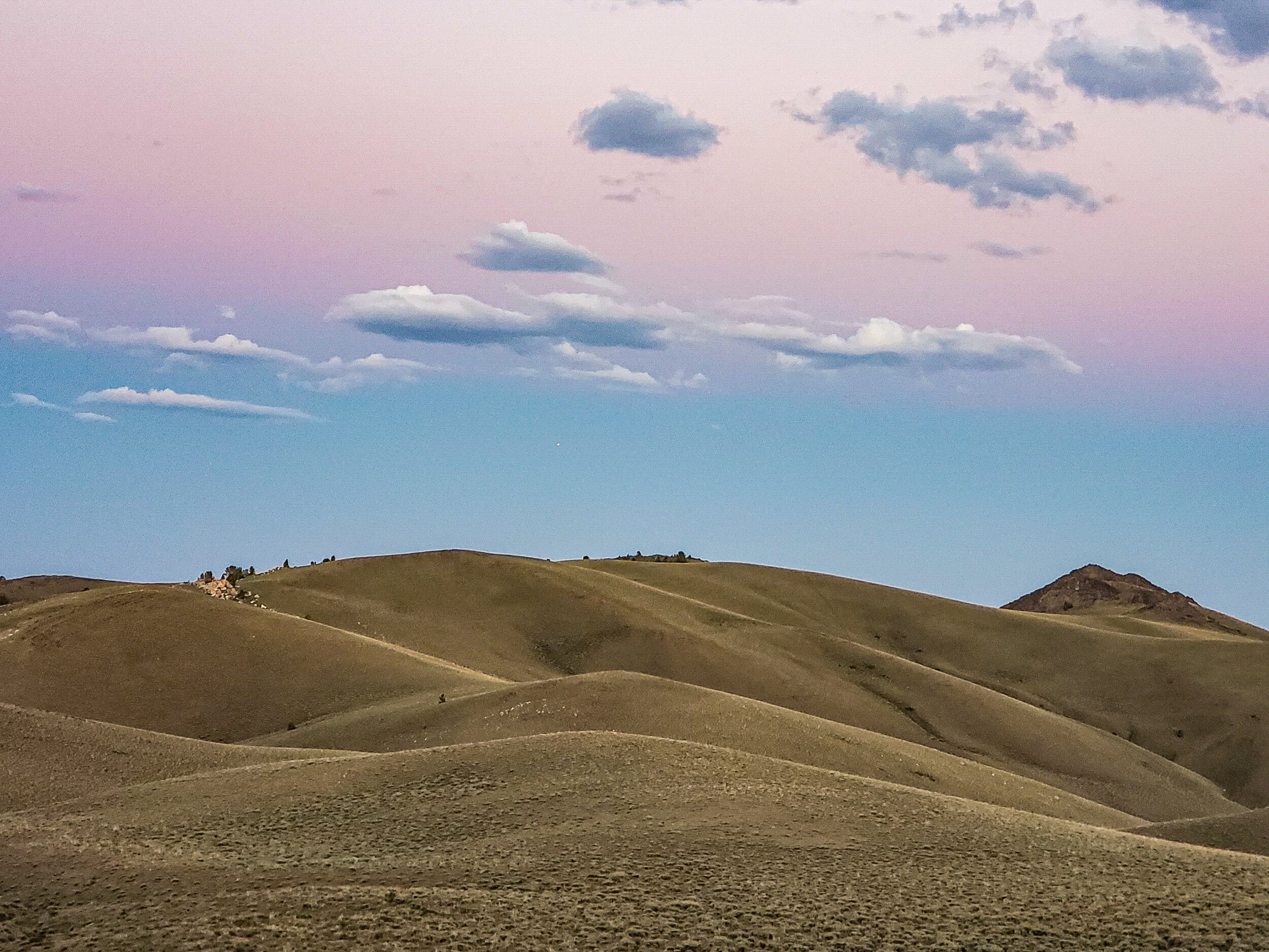 Photography from the White Mountains of California by Elliott Robinson