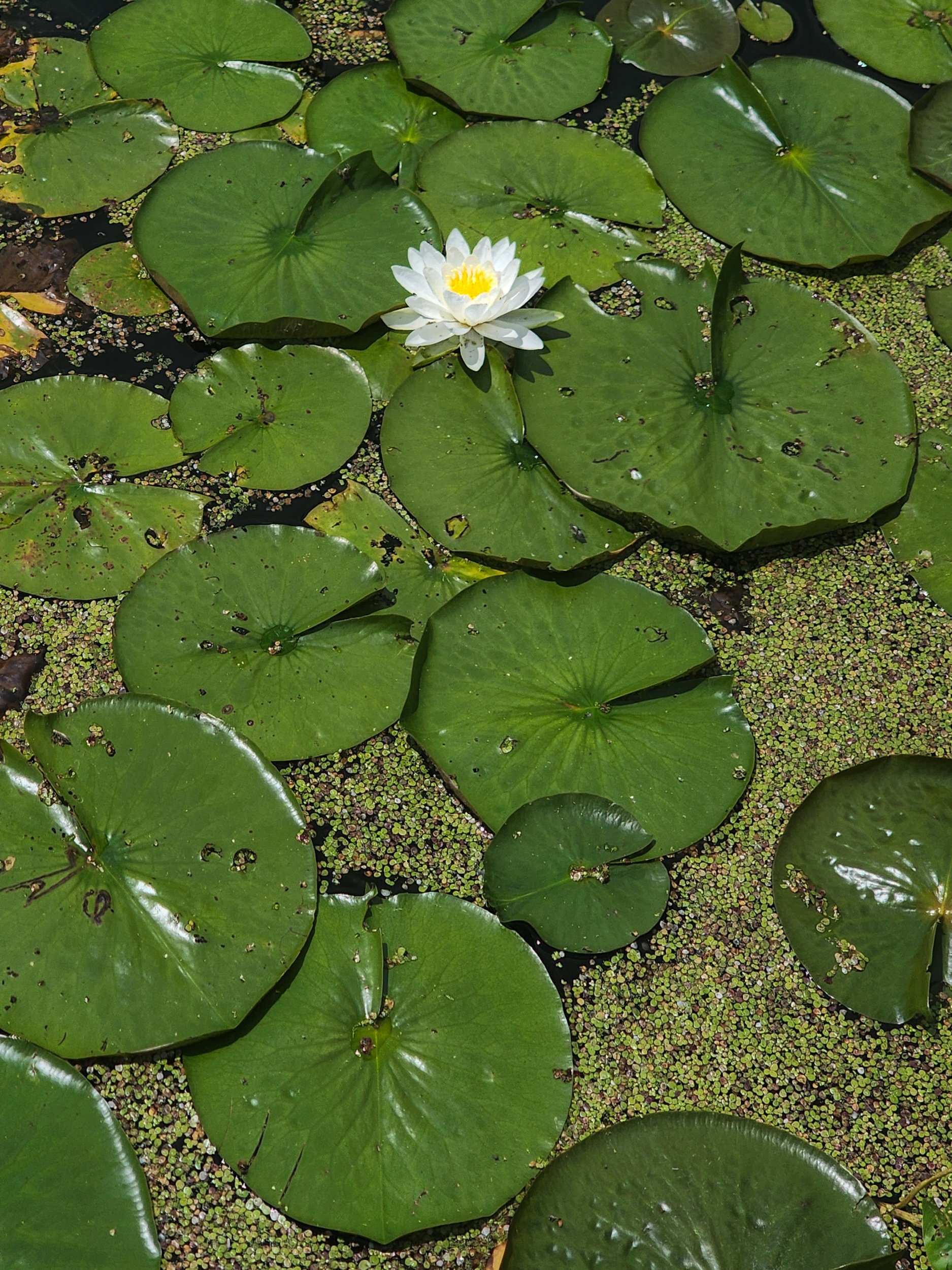 processed_1000054565.jpg