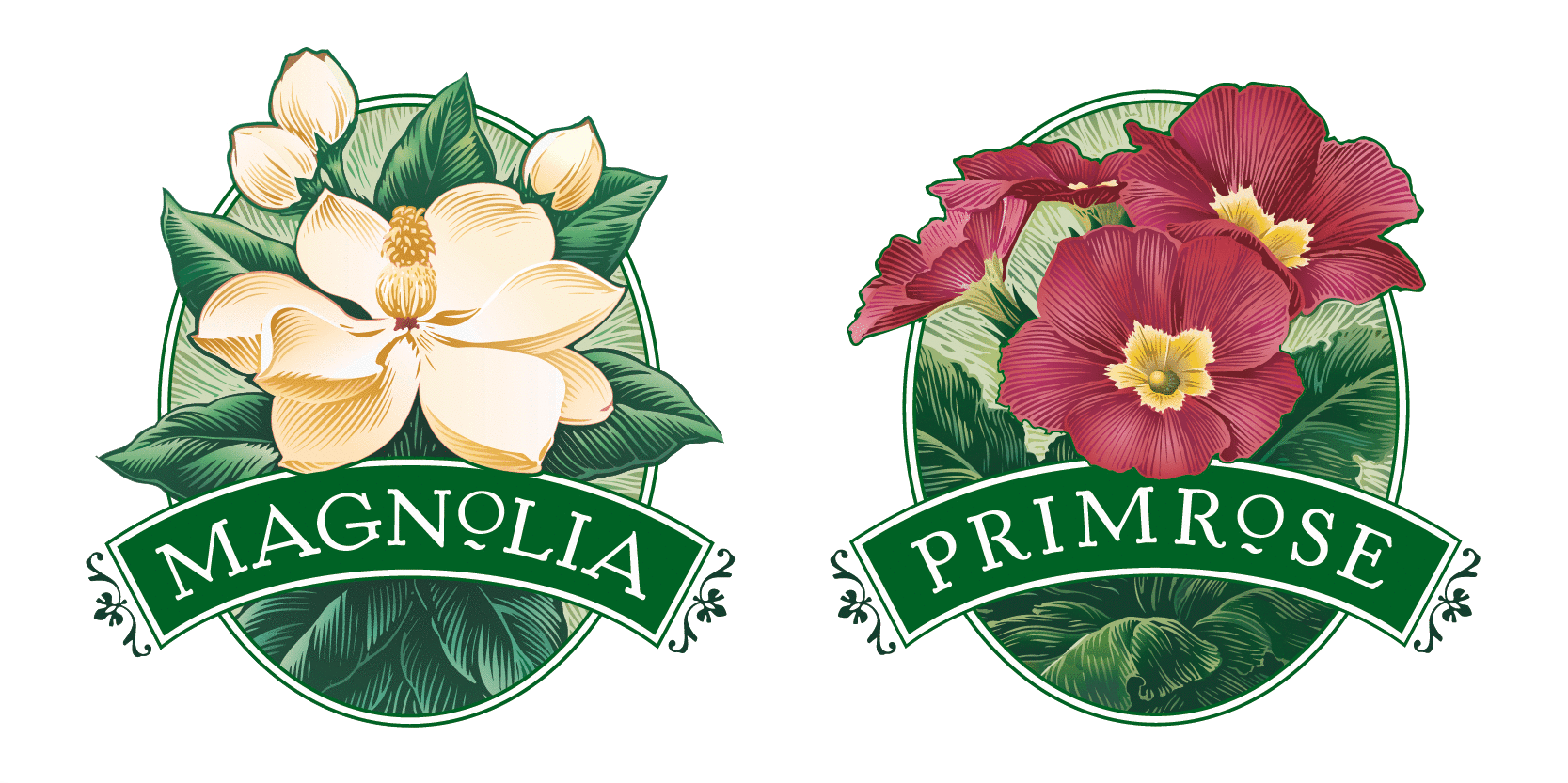 Magnolia &amp; Primrose