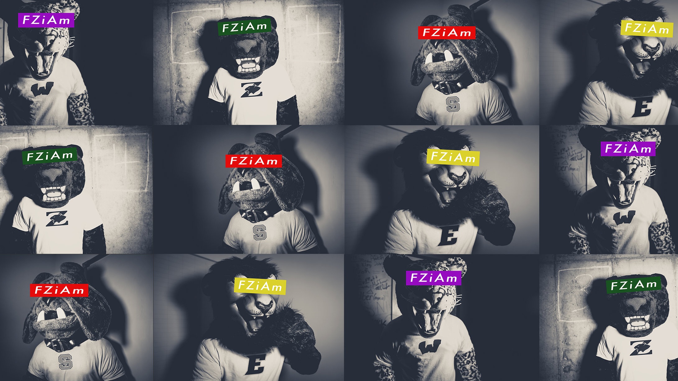 FZiAm+YouTube+Channel+Art.jpg