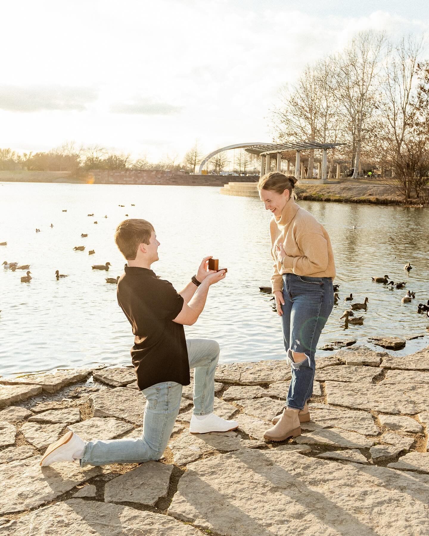 Ducks 🦆 make every surprise proposal a memorable one 💕 (Edited with our true to color editing style) #muellerlakepark #muellerlake #austintexas #austintexasplaces #austinengagement #austinengagementphotographer