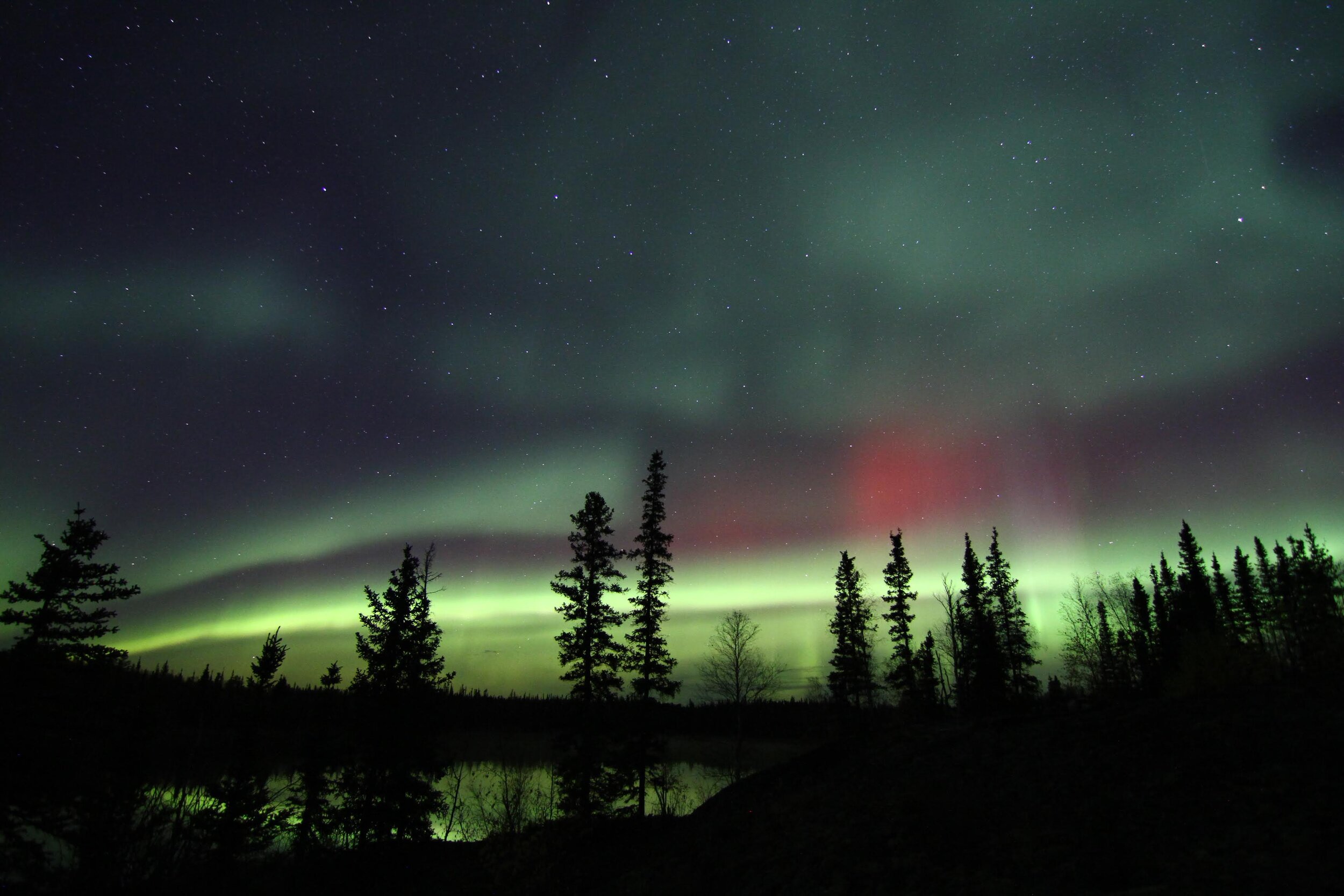 Aurora-Village-Yellowknife-Northwest-Territories-Canada-Aurora-Borealis-Northern-Lights-summer-Nature-NoHumans-silho-Landscape-Colourful-Green-Pink-Summer-Hero.JPG