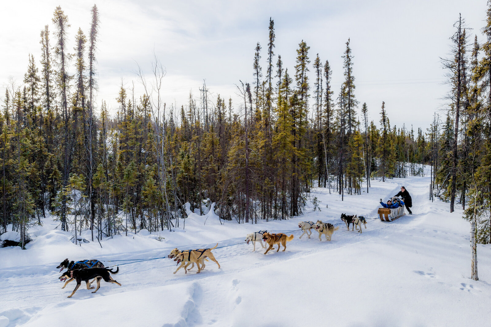 Aurora-Village-Yellowknife-Northwest-Territories-Canada-Aurora-Borealis-Northern-lights-hero-winter-dog-sledding-credit-gawain-jones-1600 - Copy.jpg