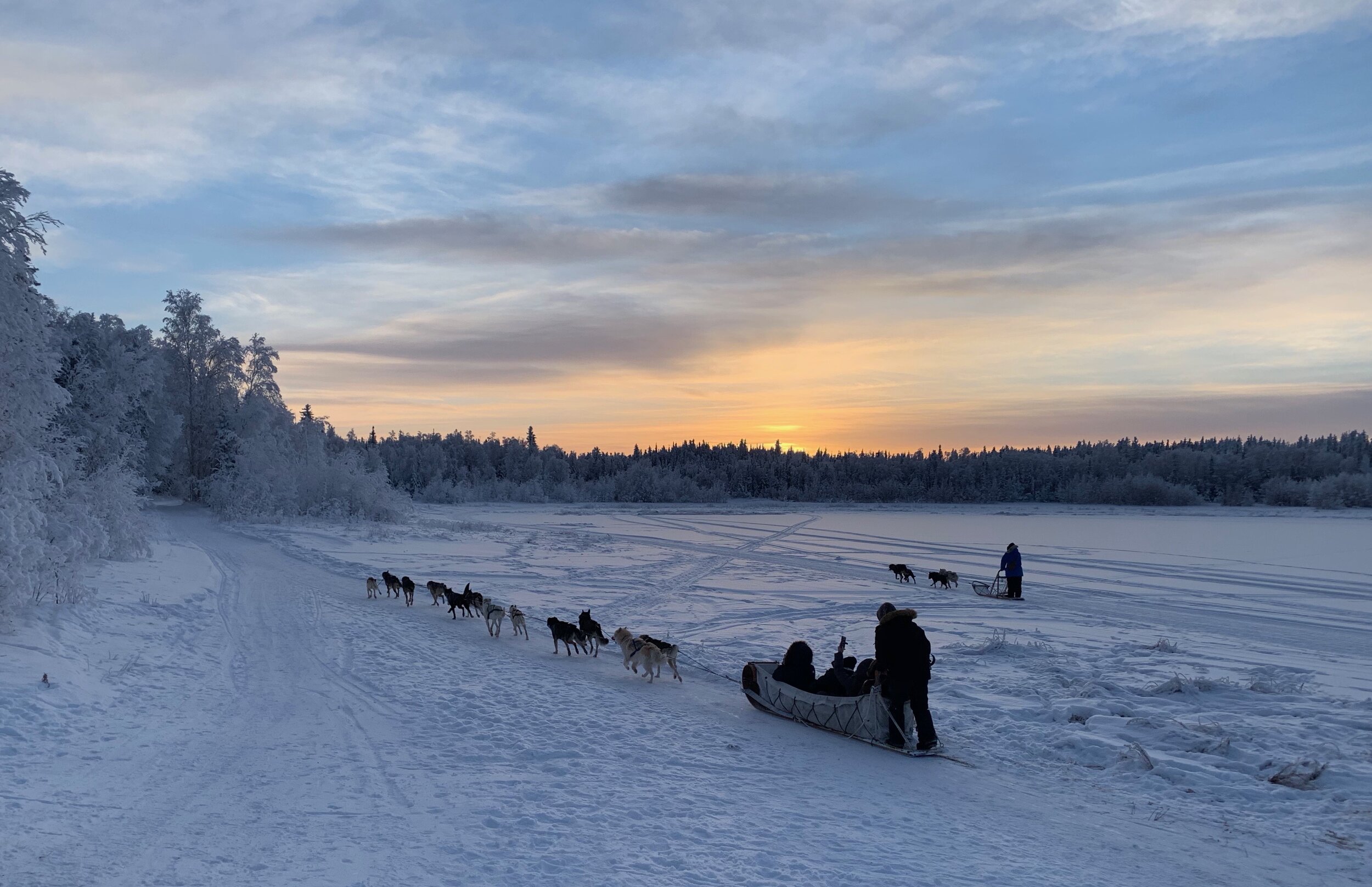 Aurora-Village-Yellowknife-Northwest-Territories-Canada-Dog-team-ride-dog-sled-double.jpeg