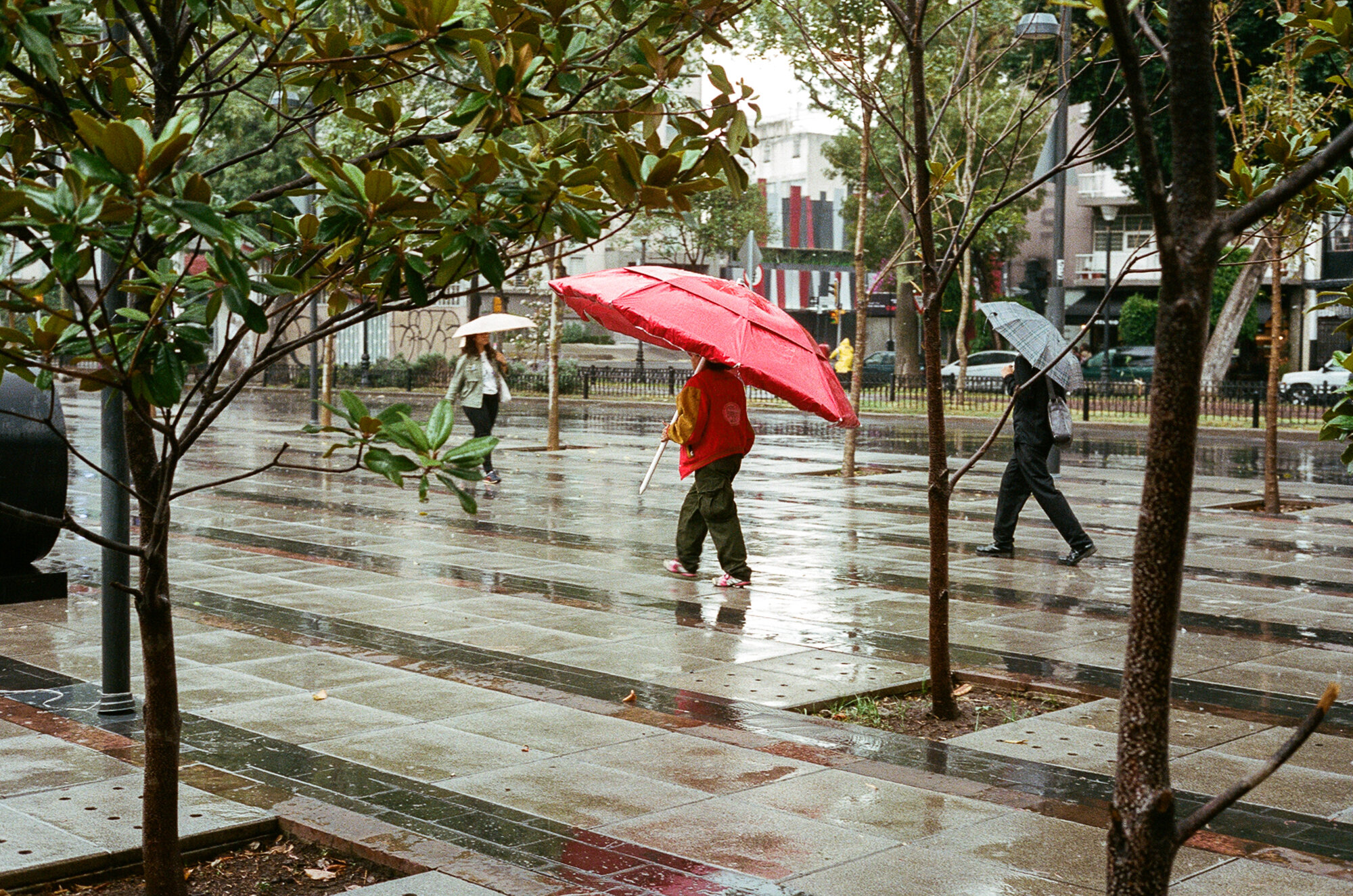 Red Umbrella, Mexico City (Copy)