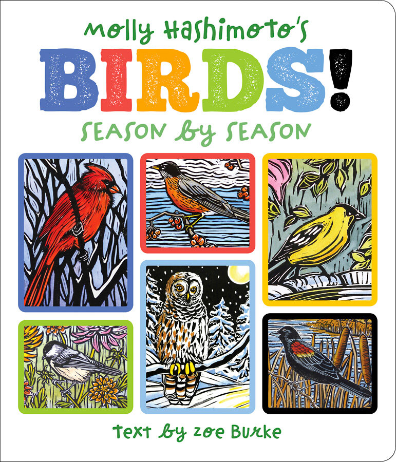 Molly Hashimoto's Birds! Season to Season