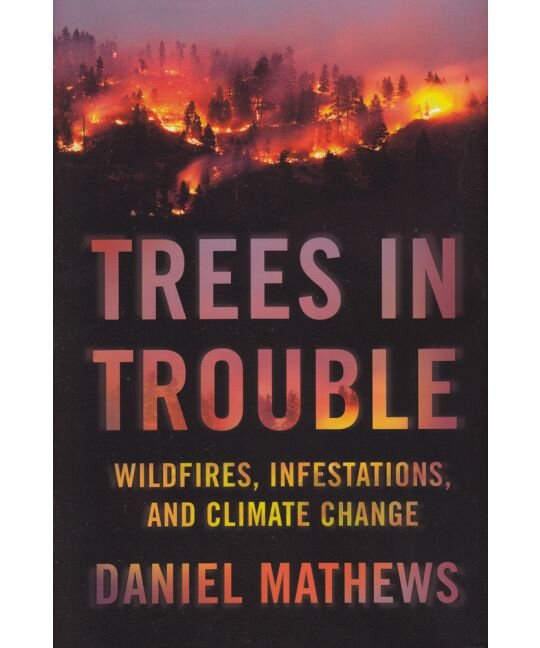 Trees in Trouble: Wildfires, Infestations, and Climate Change