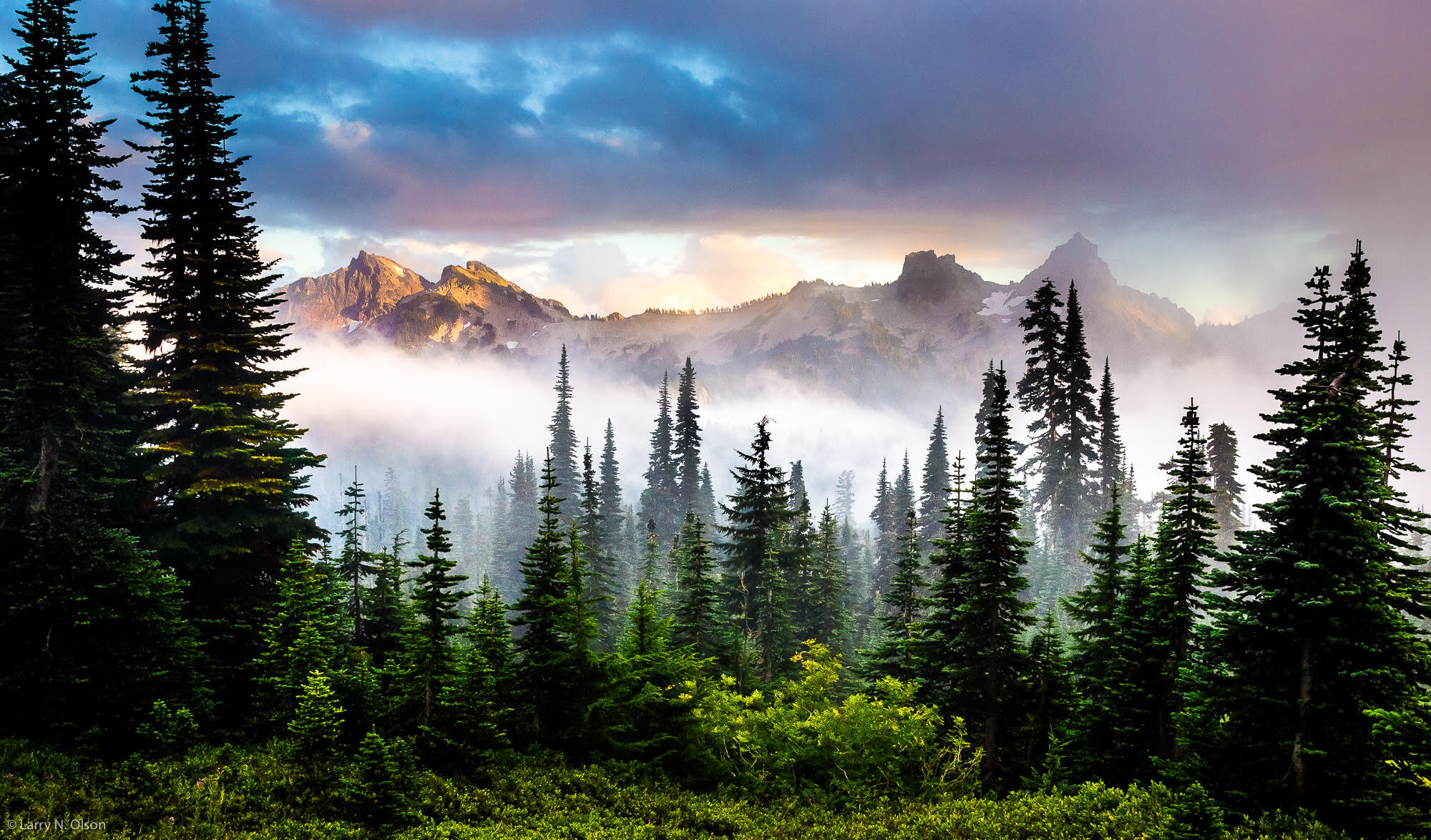 Tatoosh Range, Mt. Rainier National Park, WA
