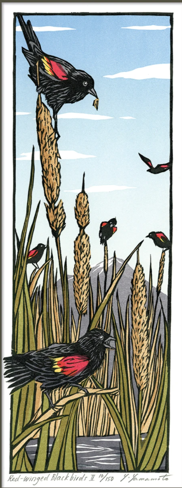 Red-winged Blackbirds