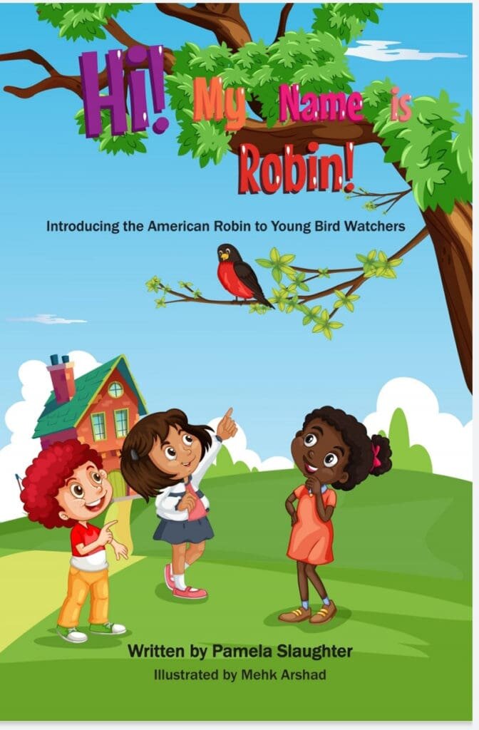 Hi! My Name Is Robin