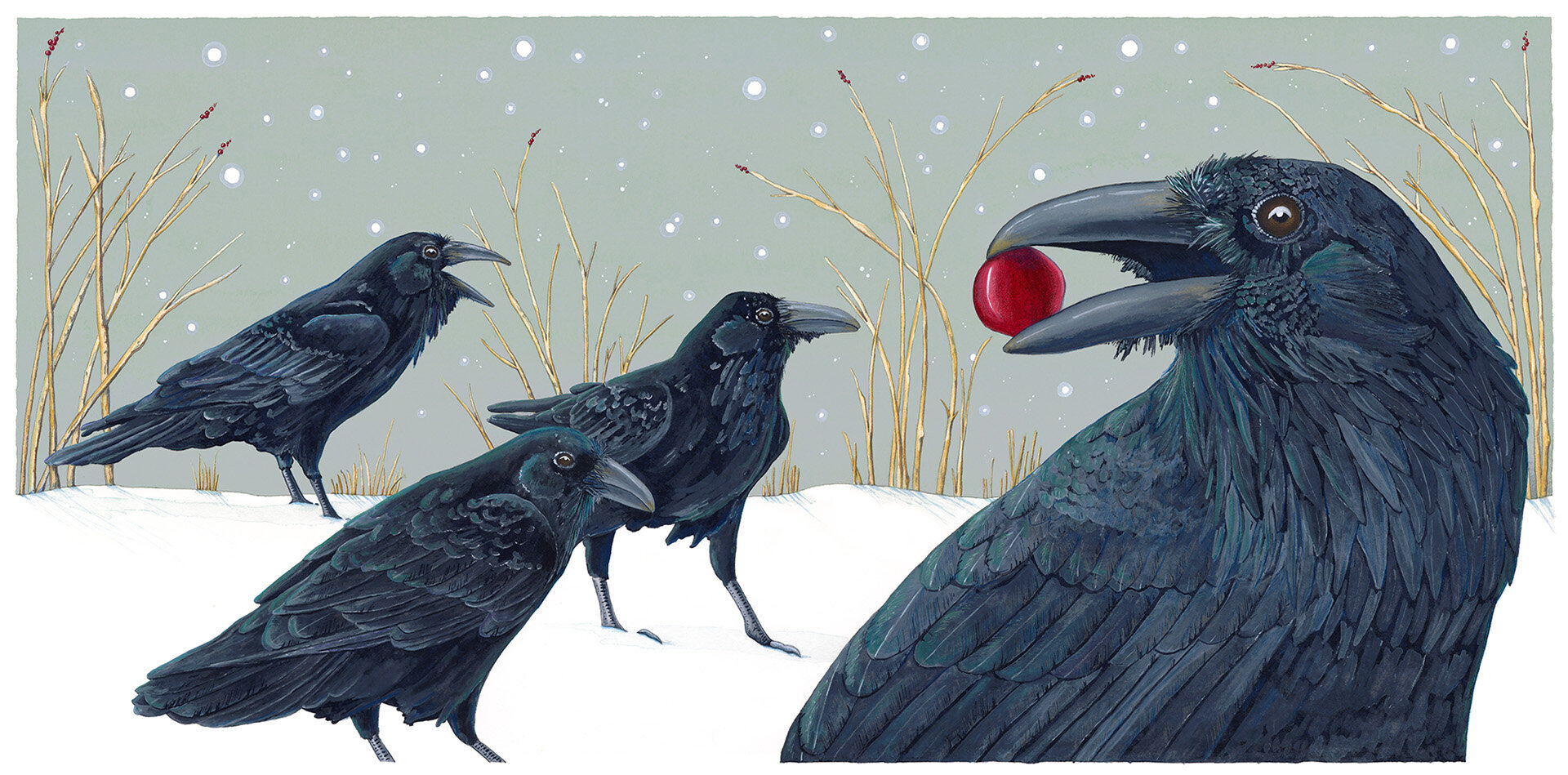 Common Ravens in Winter Boxed Cards