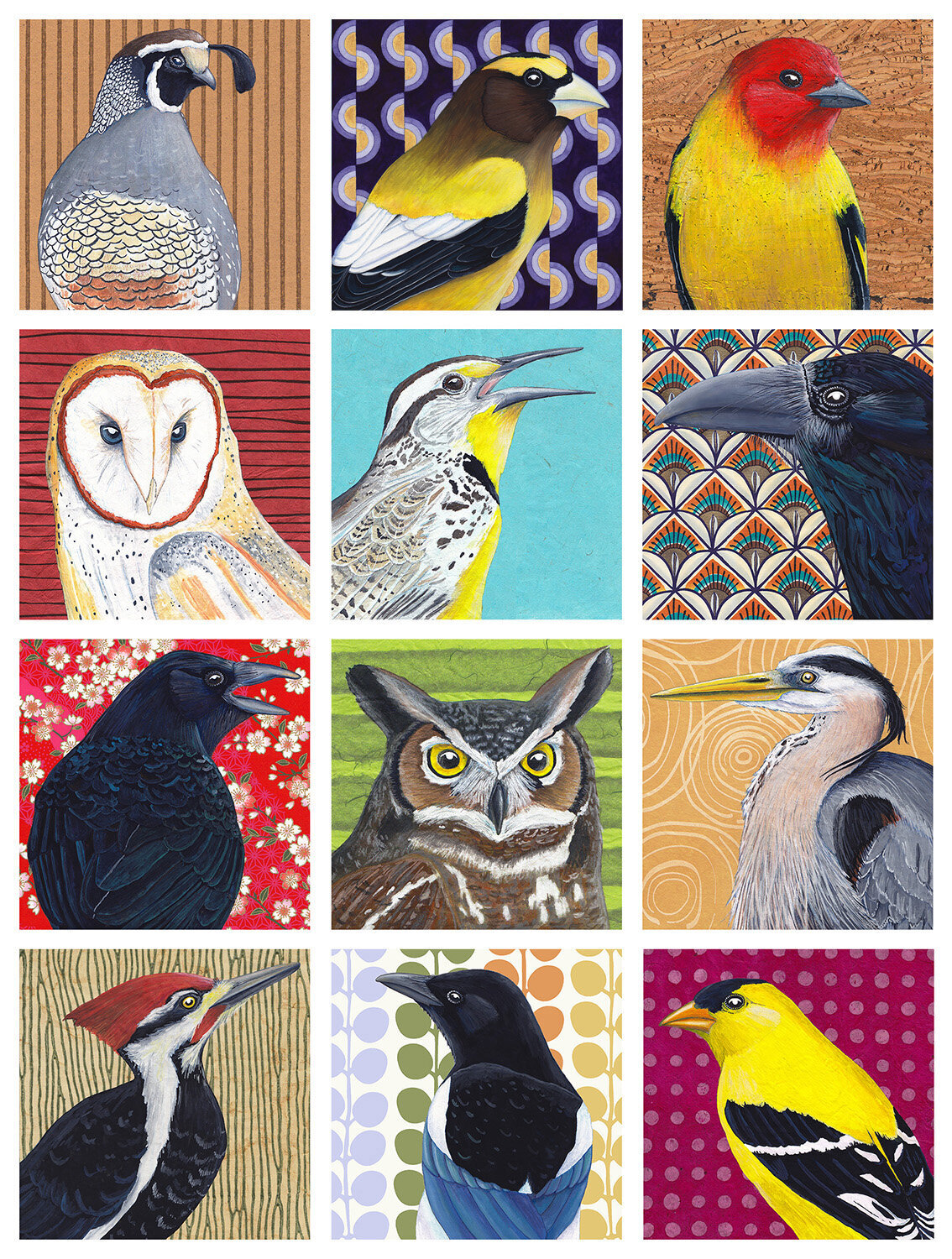 Bird Portrait Boxed Gift Enclosures