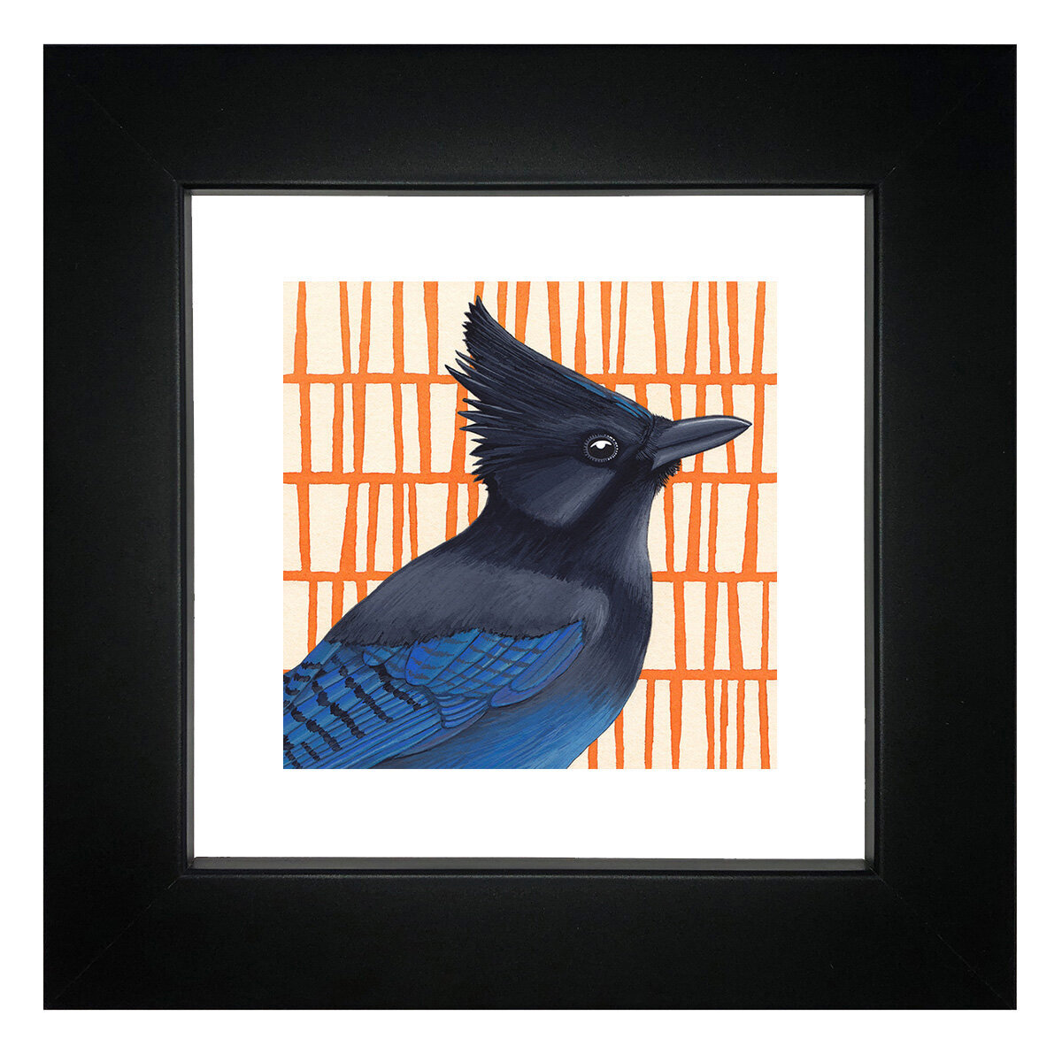 Mini Steller’s Jay Reproduction